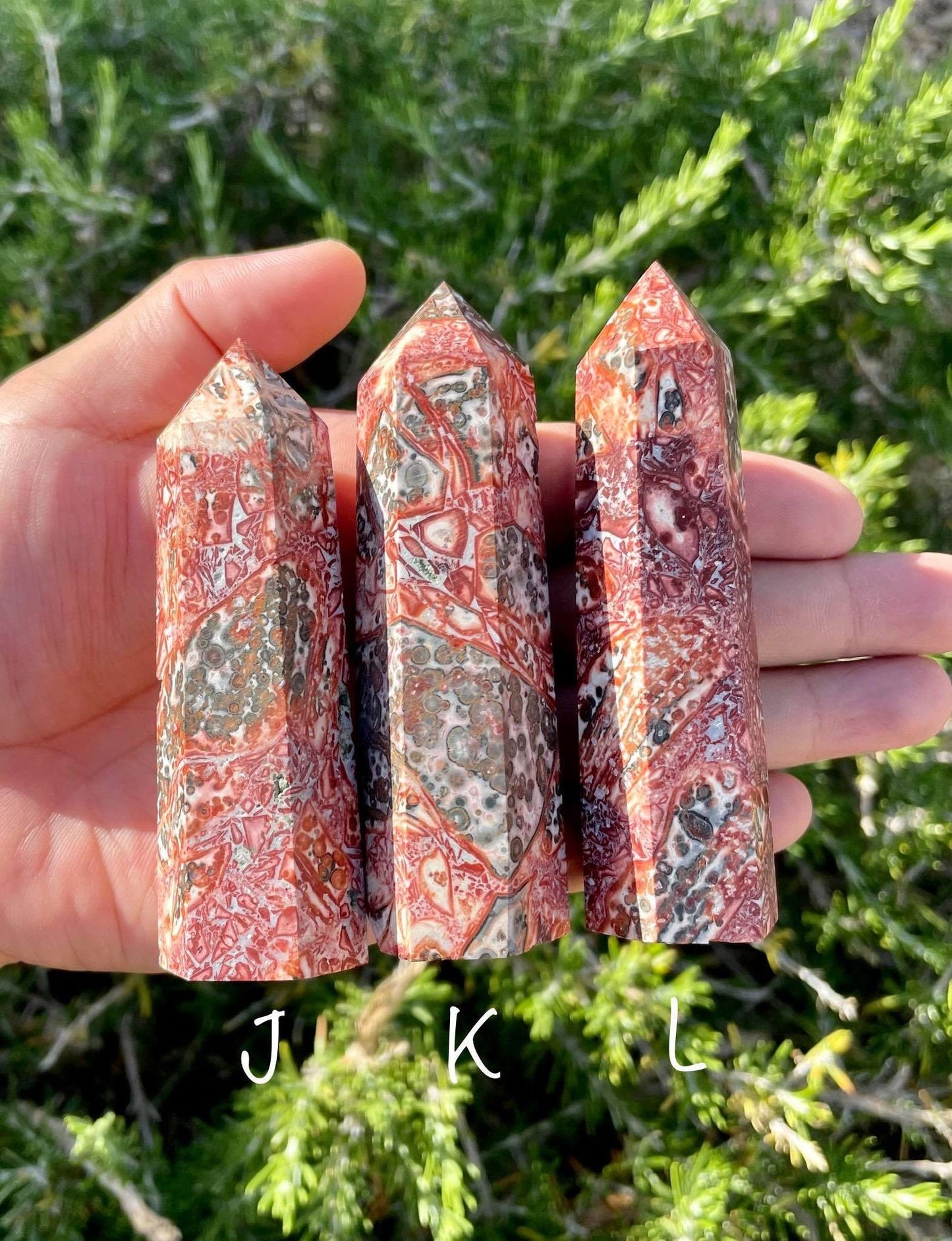 Leopard Jasper Towers