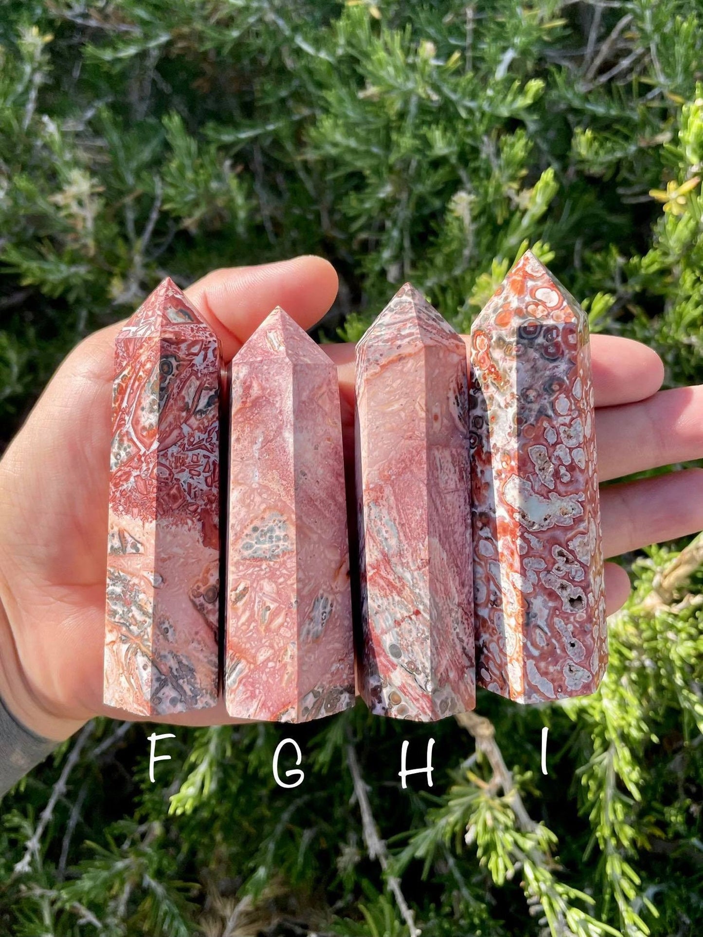 Leopard Jasper Towers