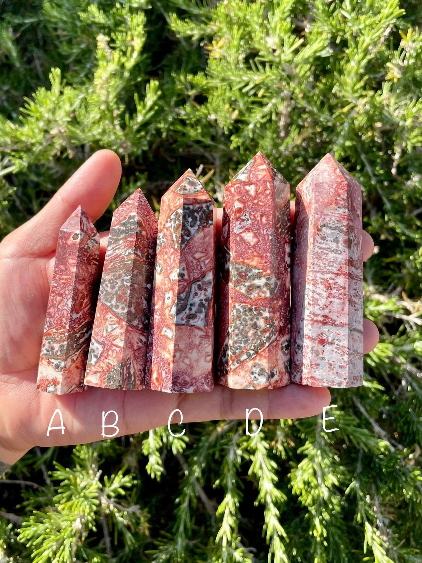 Leopard Jasper Towers