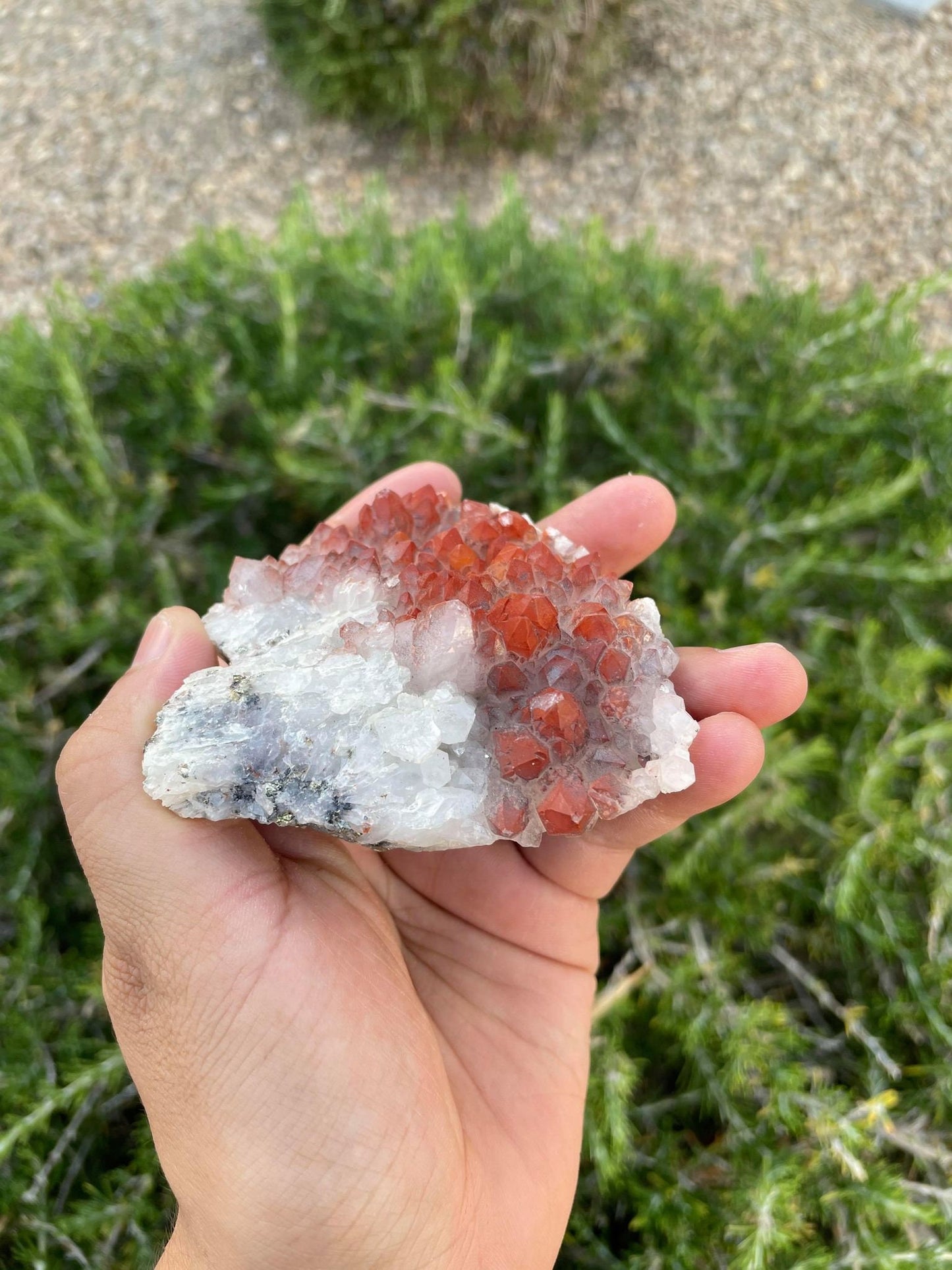 Hematite Quartz with Pyrite 8.7 oz
