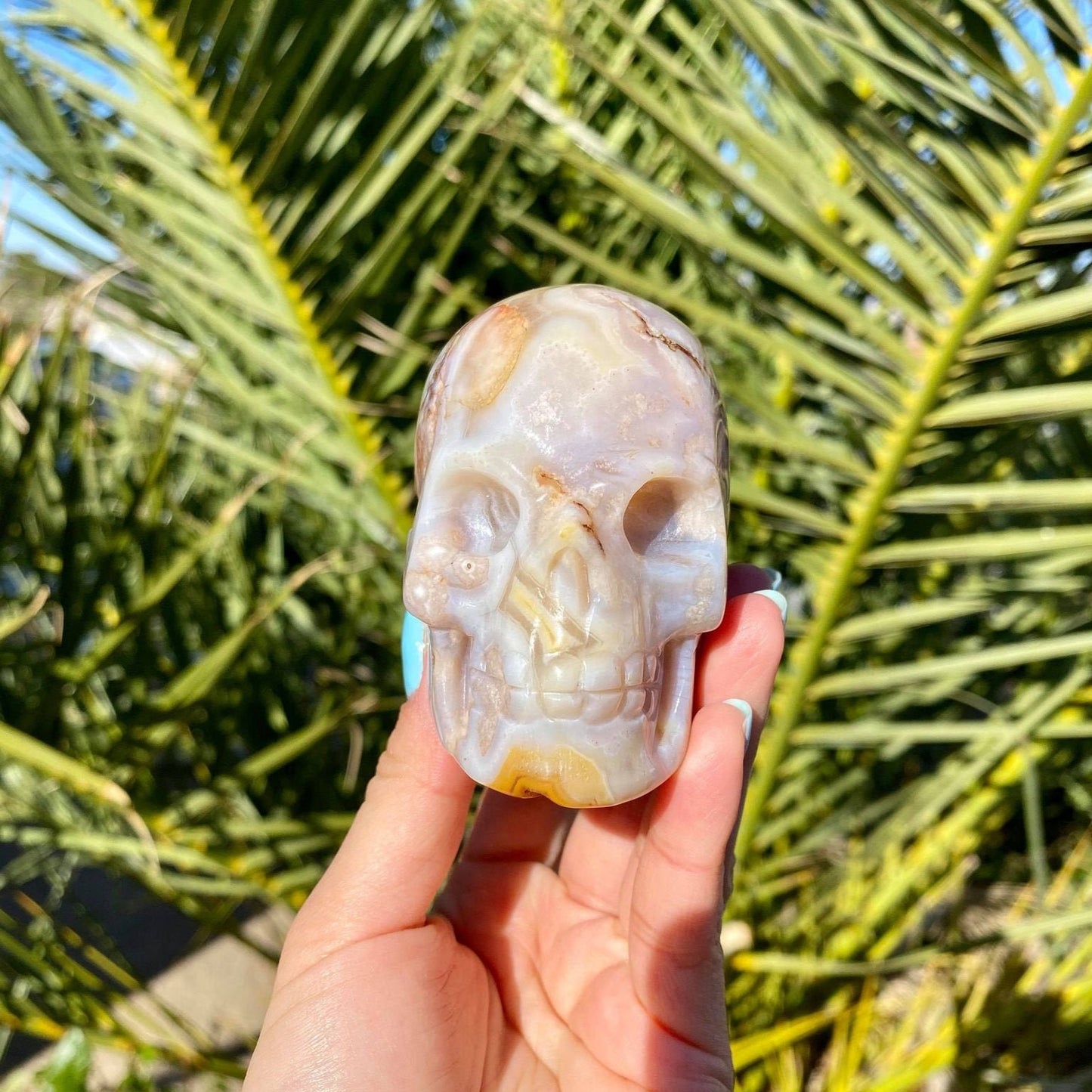 Flower Agate Skull