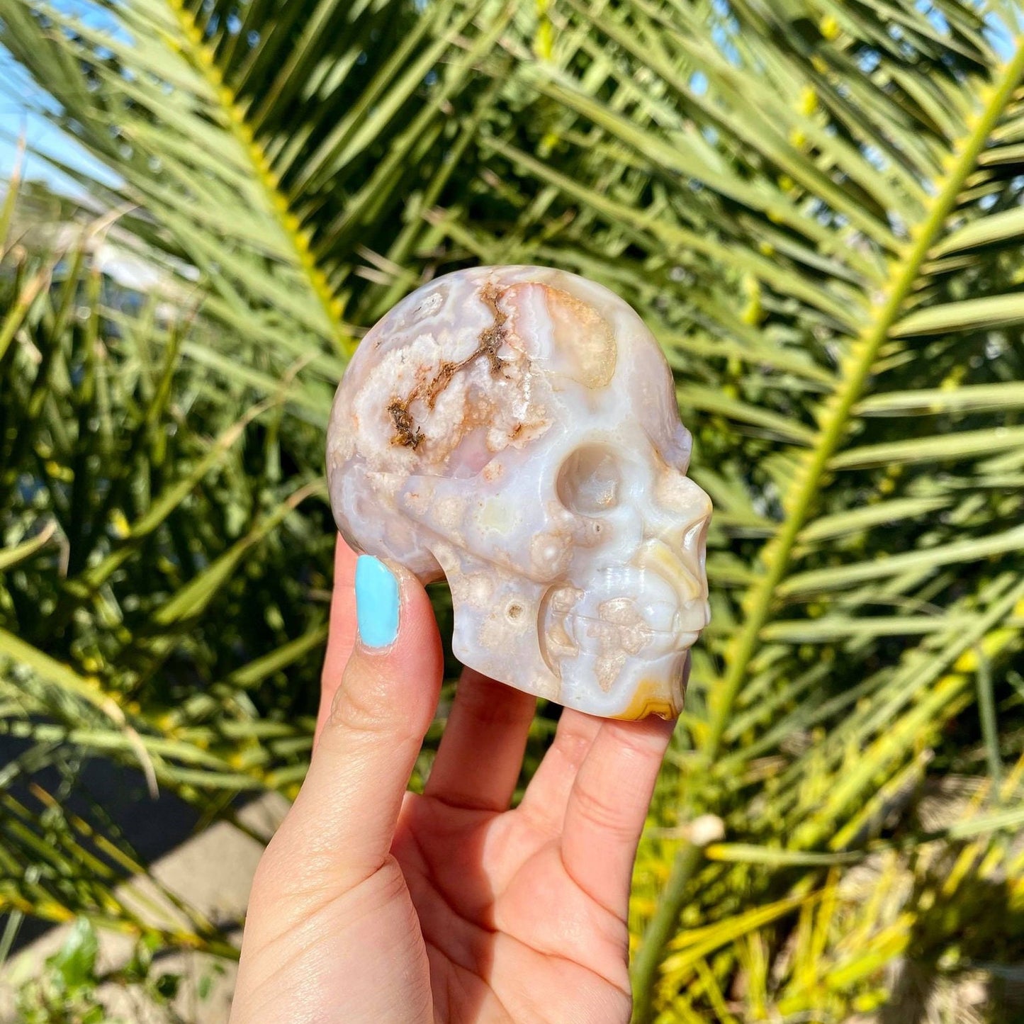 Flower Agate Skull