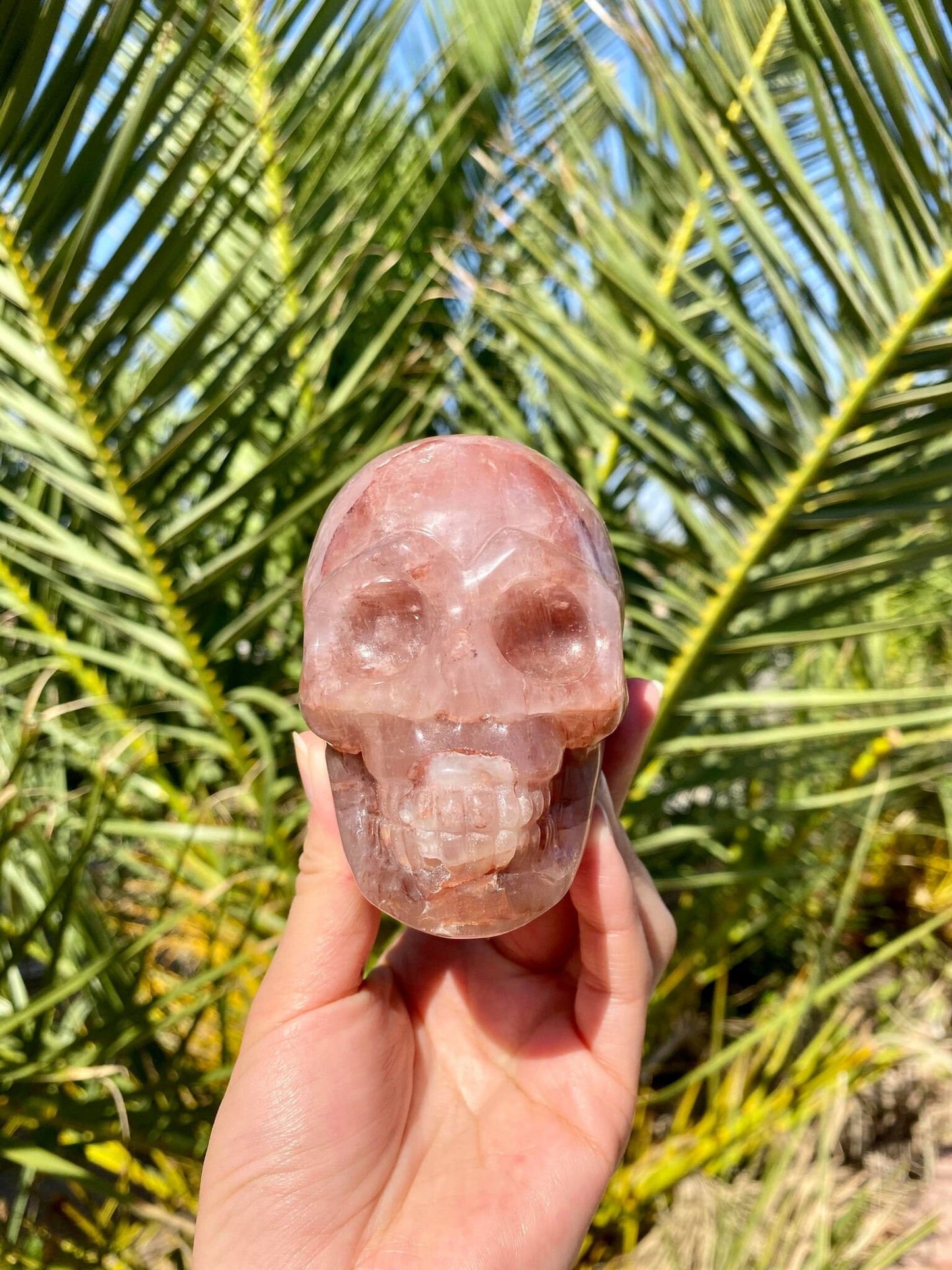 Hematoid Skull 1 lb 4.3 oz