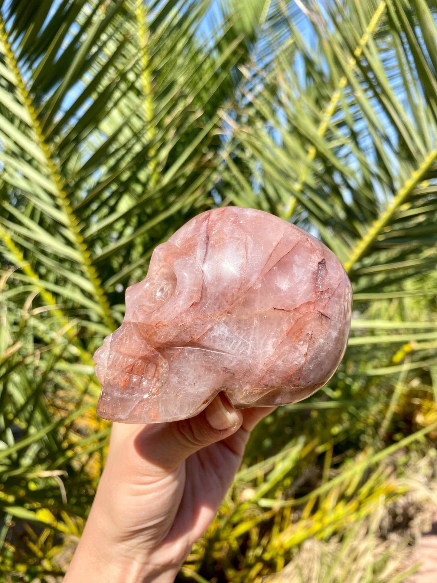 Hematoid Skull 1 lb 4.3 oz