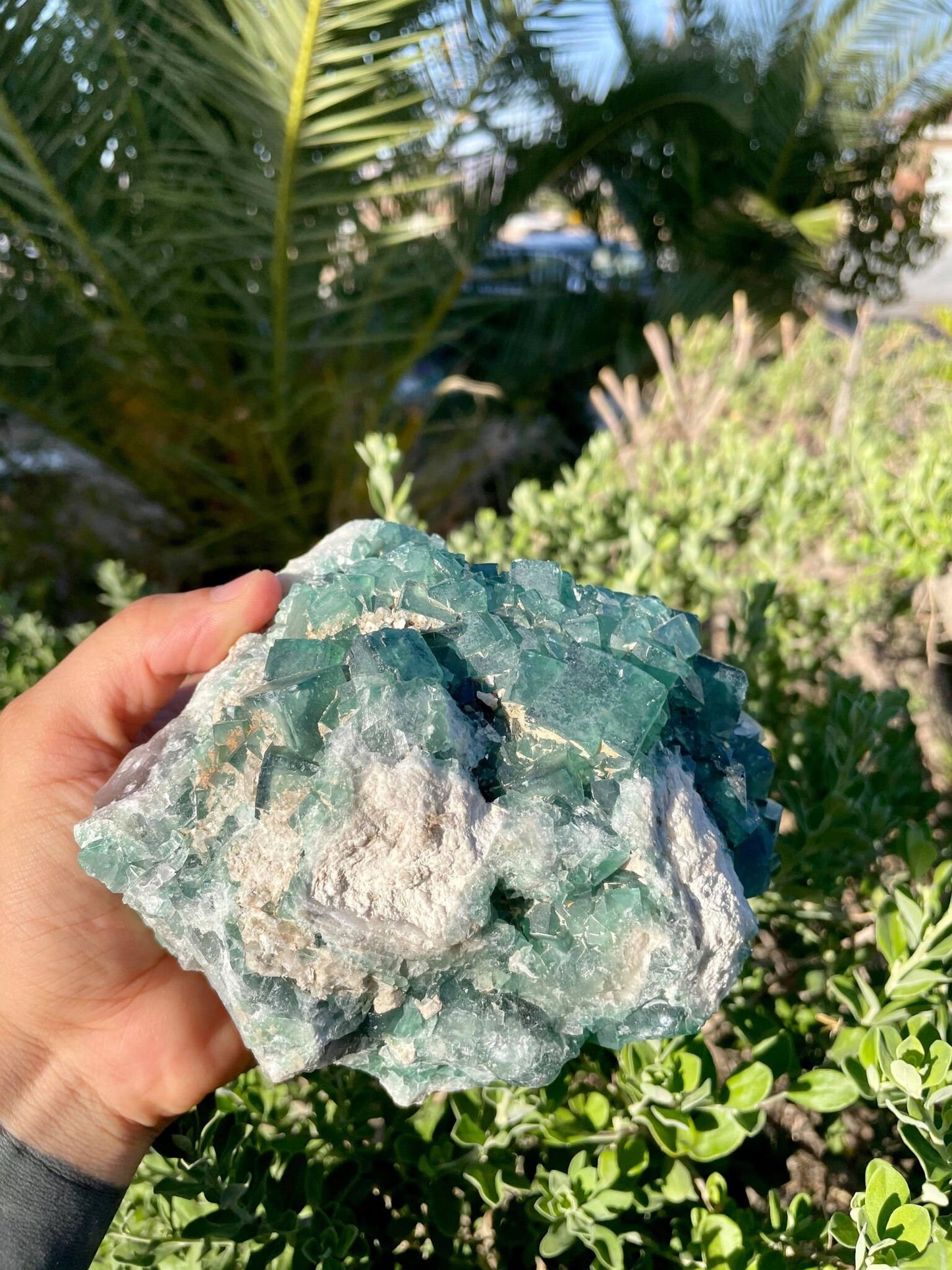 Green Fluorite 3lbs 13.9 oz