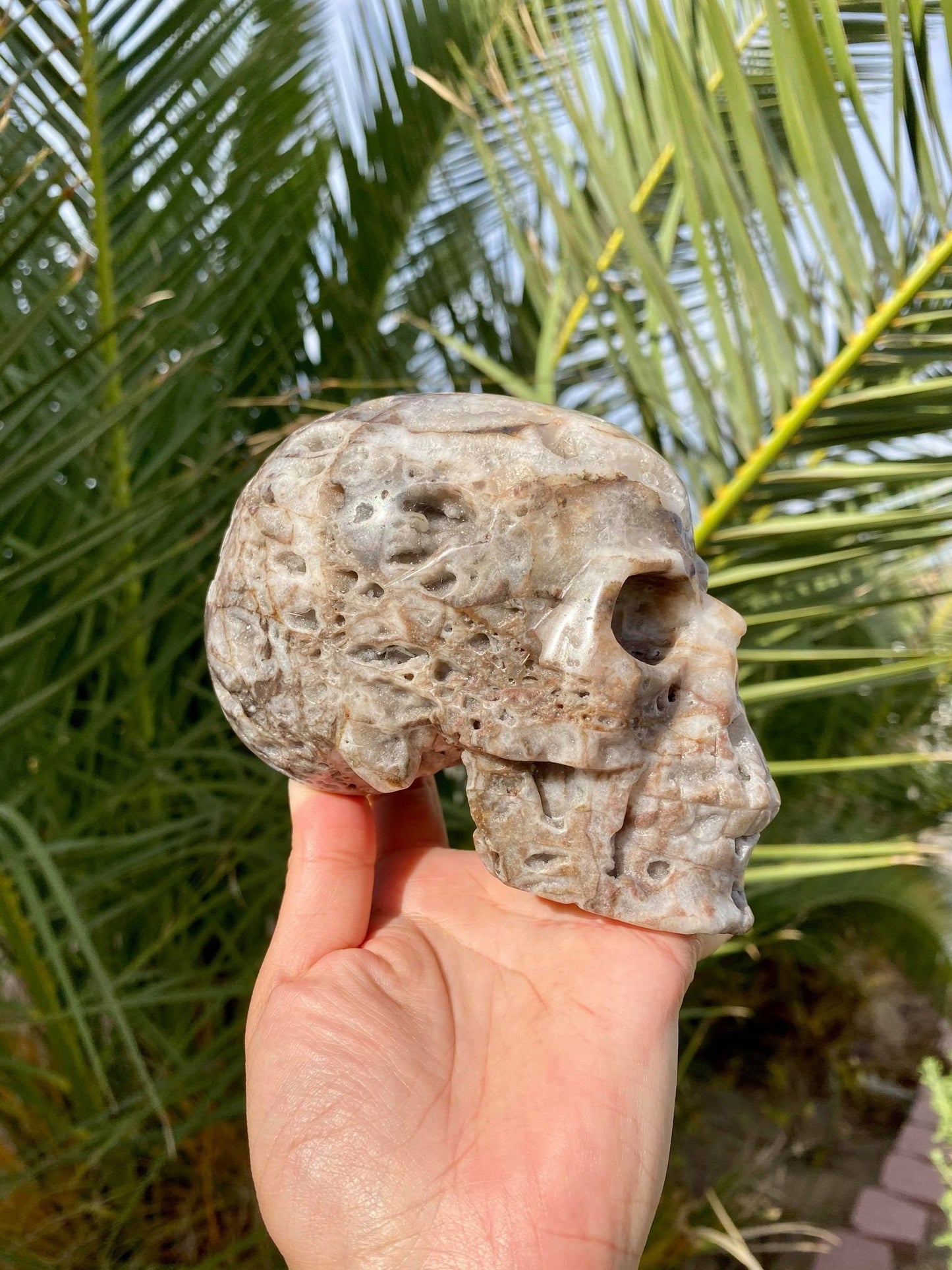 Sphalerite Big Skull with Beautiful Druzy 2 lbs