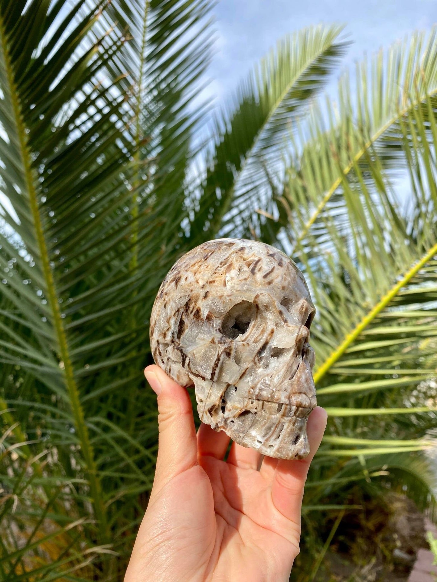 Sphalerite Skull with Beautiful Druzy 1 lb 6 oz