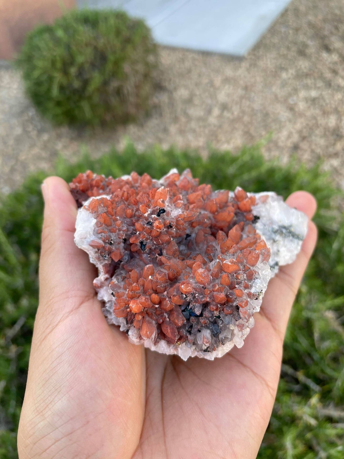 Hematite Quartz with Pyrite 1 lb 3.1 oz