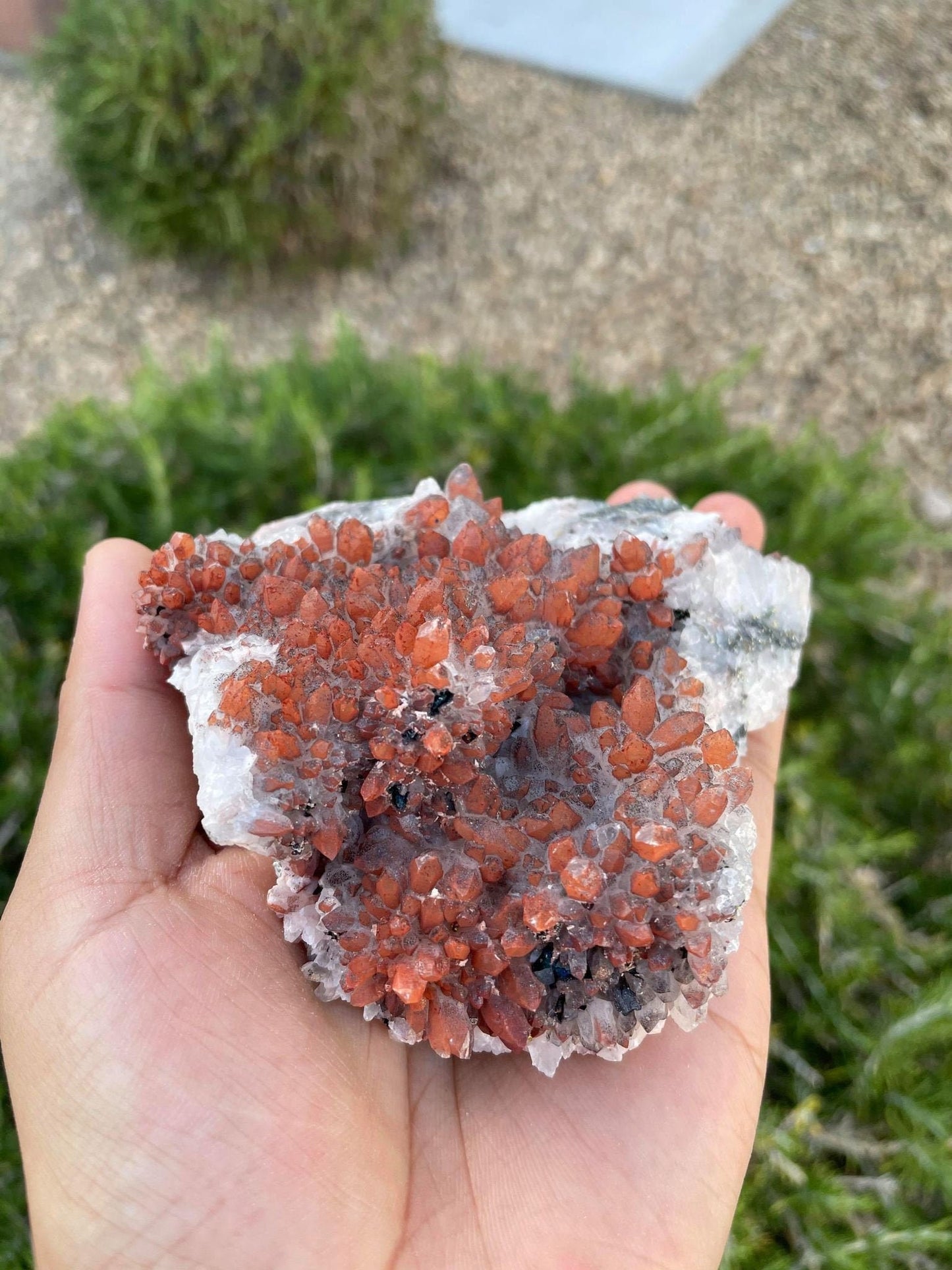 Hematite Quartz with Pyrite 1 lb 3.1 oz