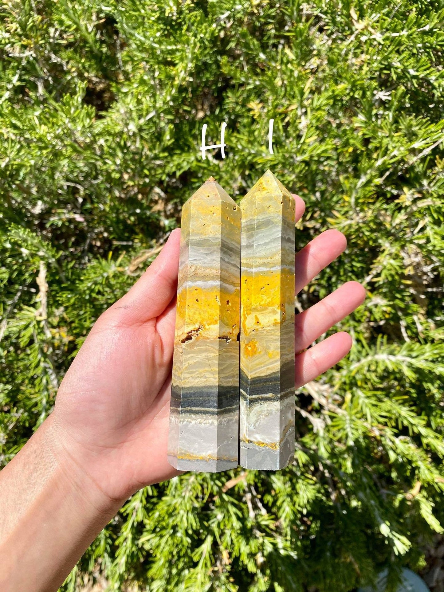 Bumblebee Jasper Tall Towers
