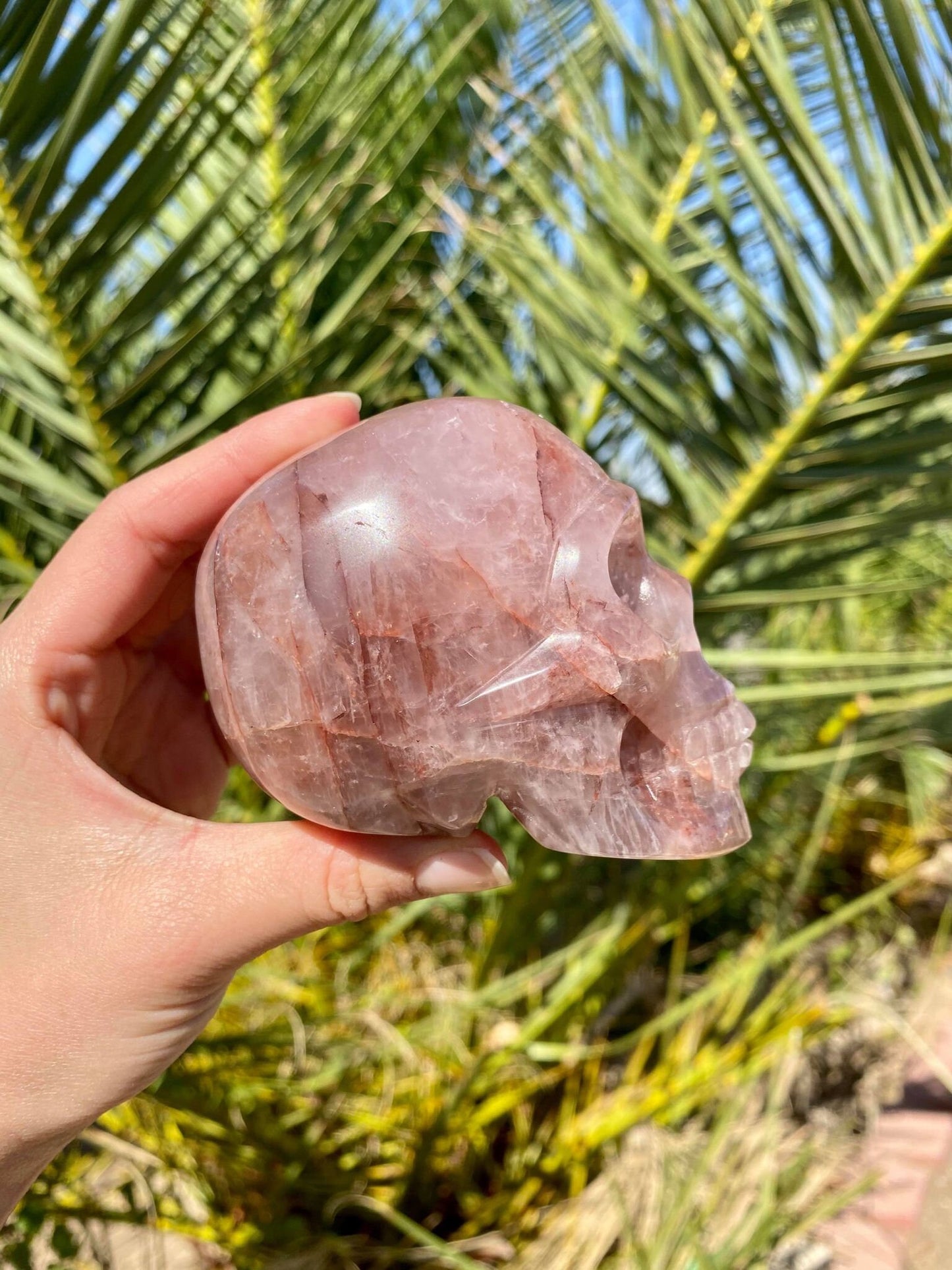 Hematoid Skull 1 lb 4.3 oz
