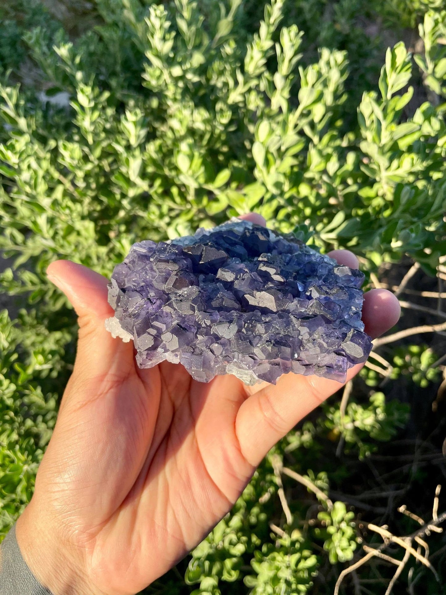 Purple Fluorite