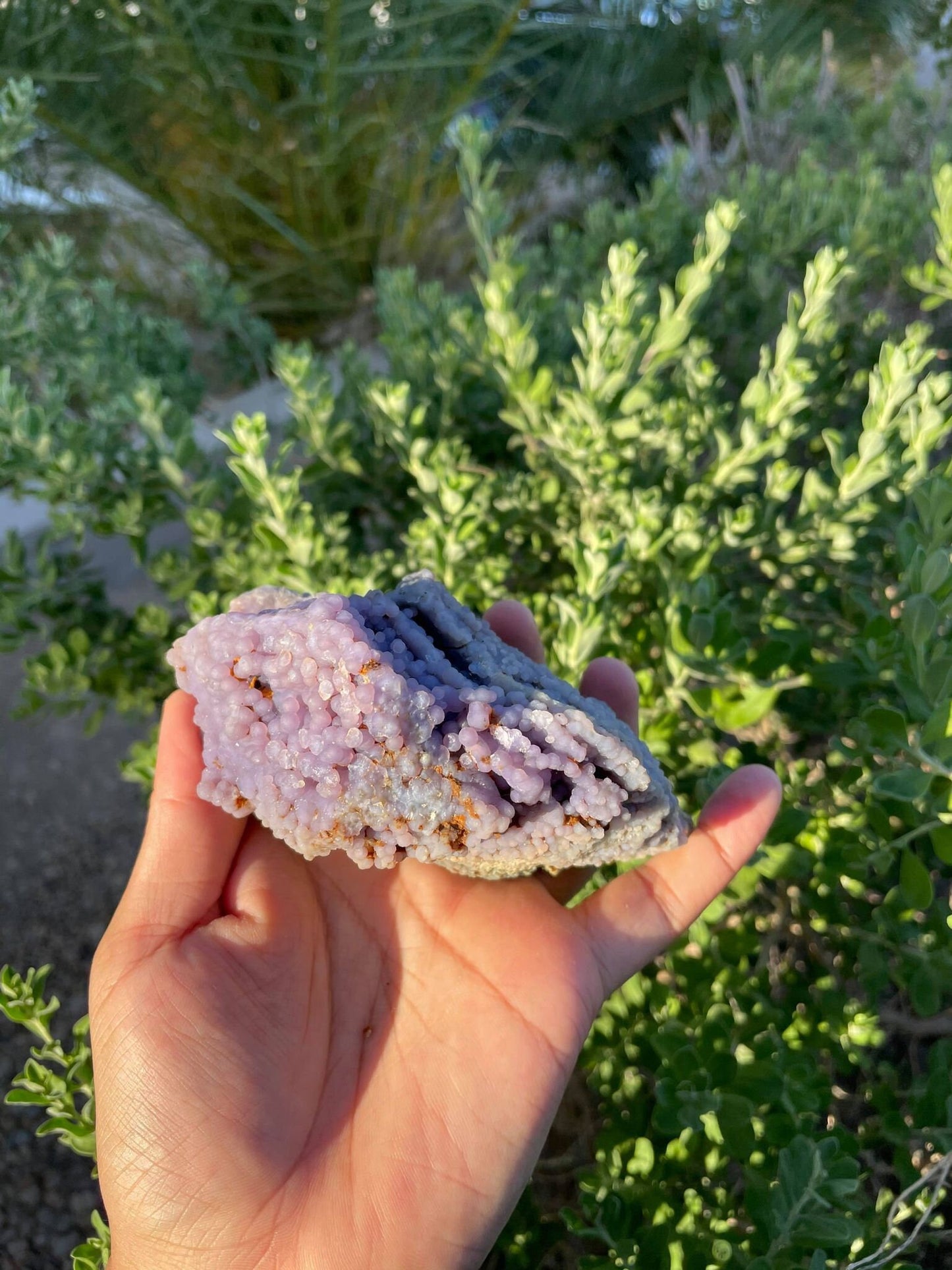 Grape Agate 1 lb 1.4 oz