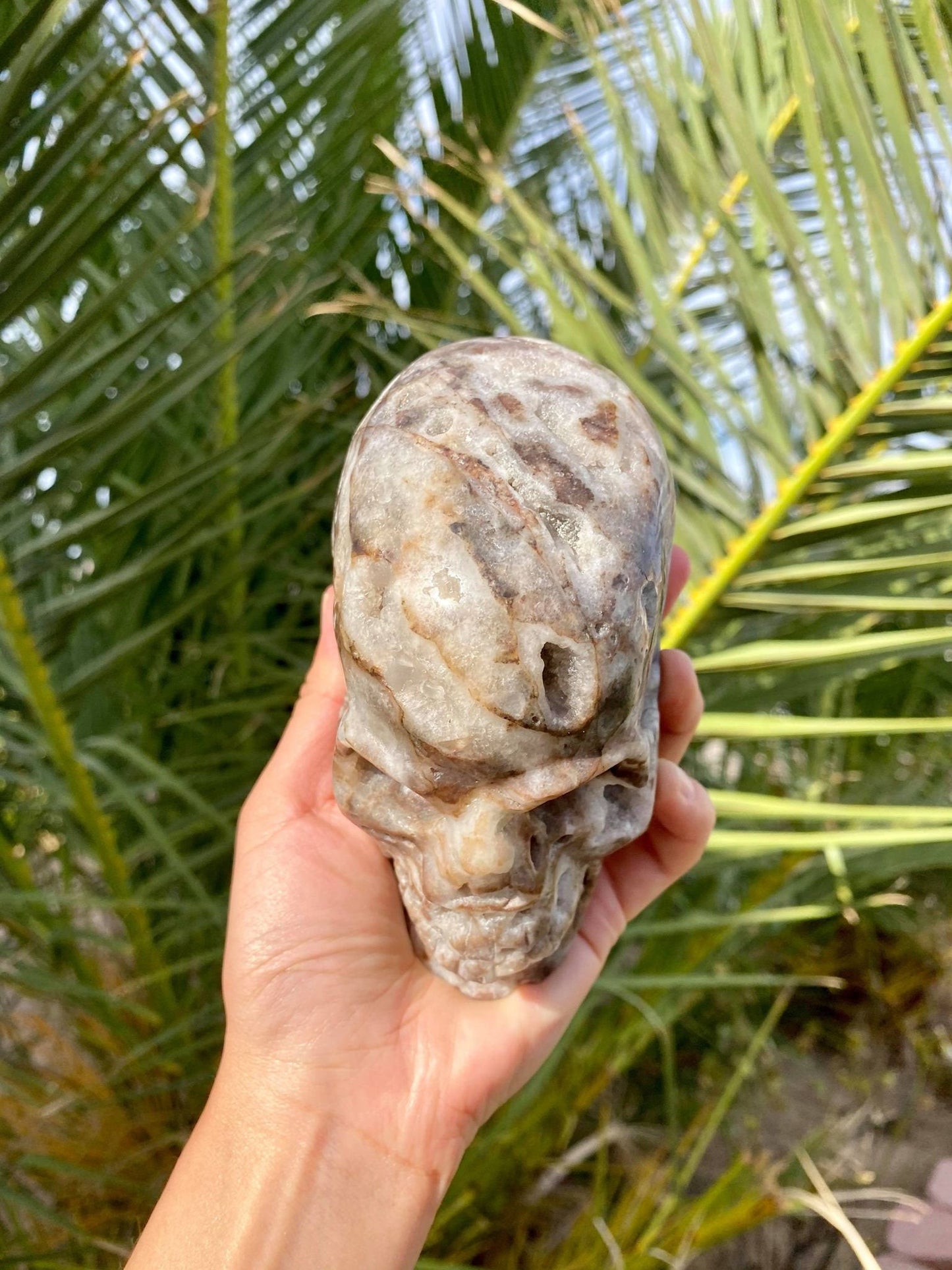 Sphalerite Big Skull with Beautiful Druzy 2 lbs