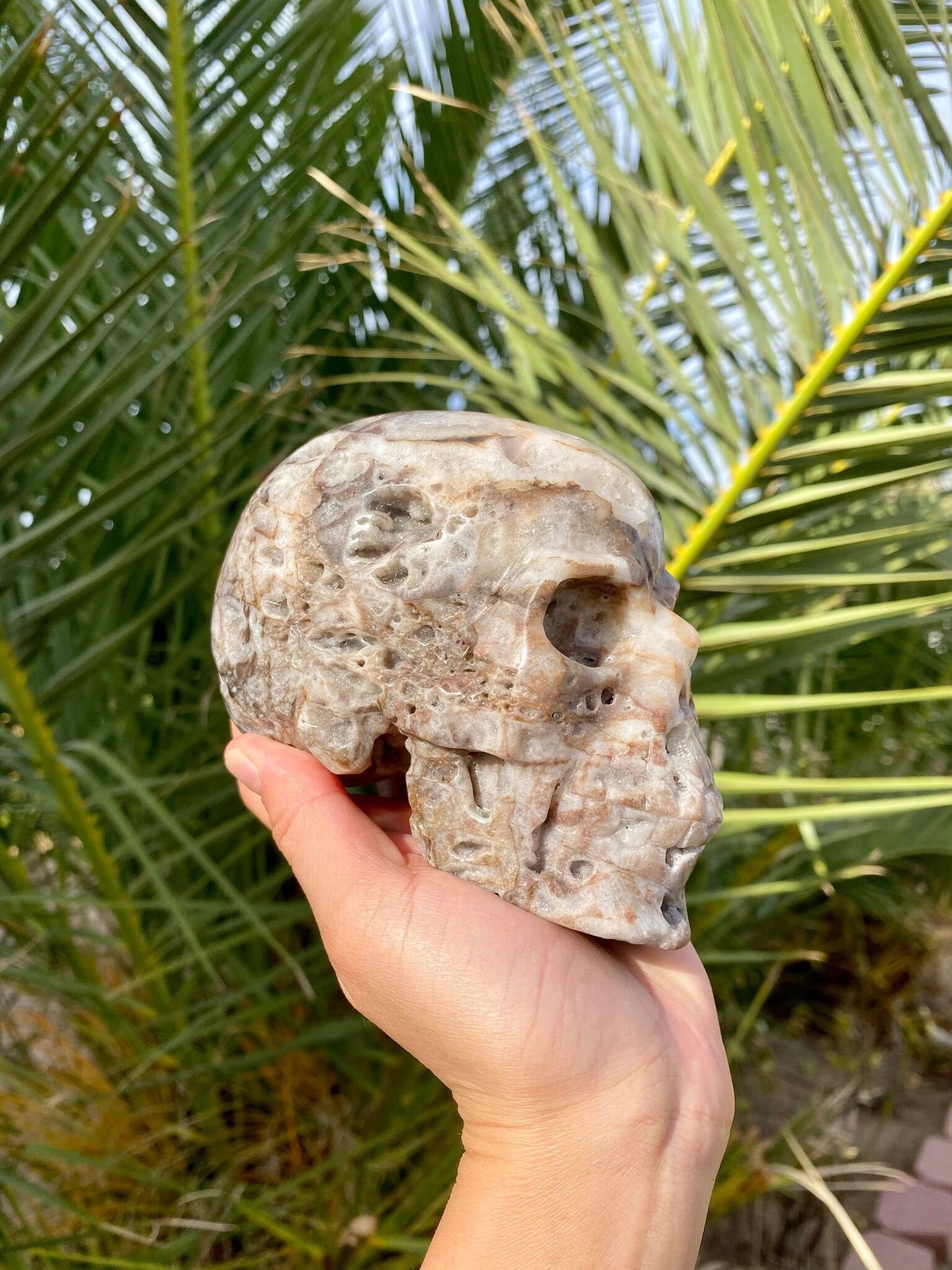 Sphalerite Big Skull with Beautiful Druzy 2 lbs