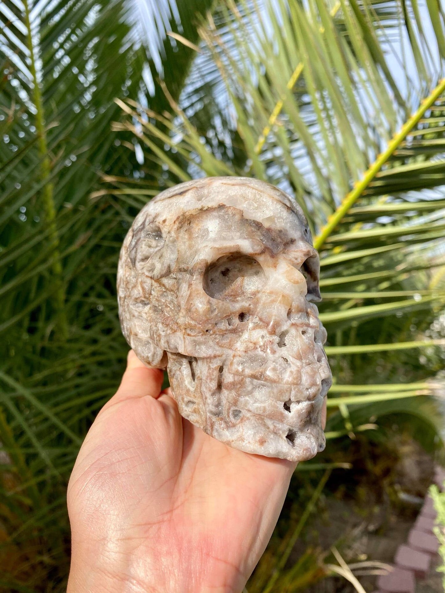 Sphalerite Big Skull with Beautiful Druzy 2 lbs