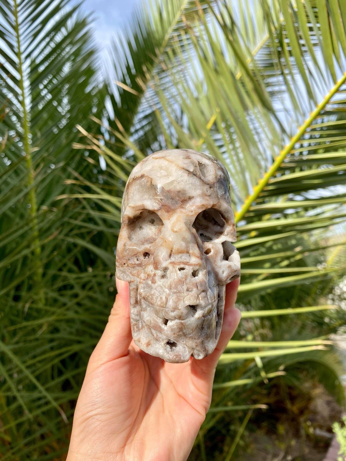 Sphalerite Big Skull with Beautiful Druzy 2 lbs