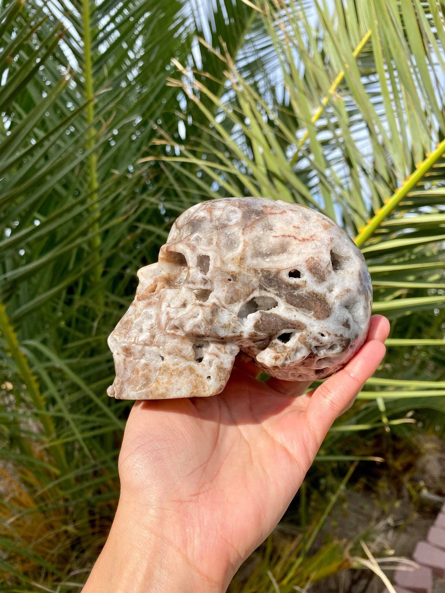 Sphalerite Big Skull with Beautiful Druzy 2 lbs