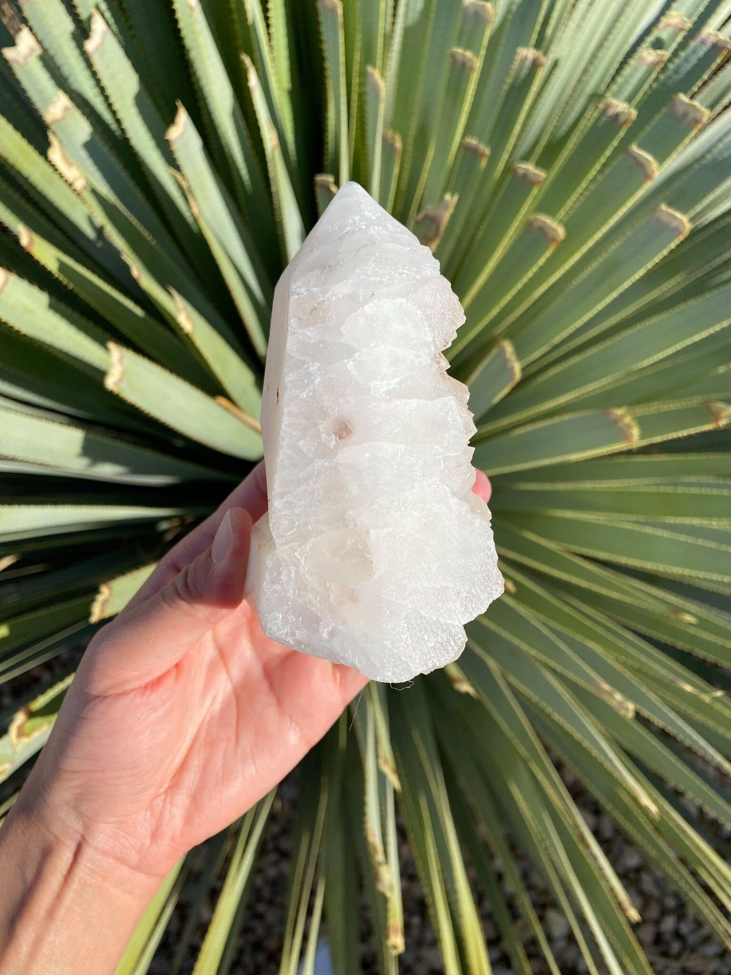 Aphophyllite Cluster Tower 1 lb 2.4 oz 4.1 inches