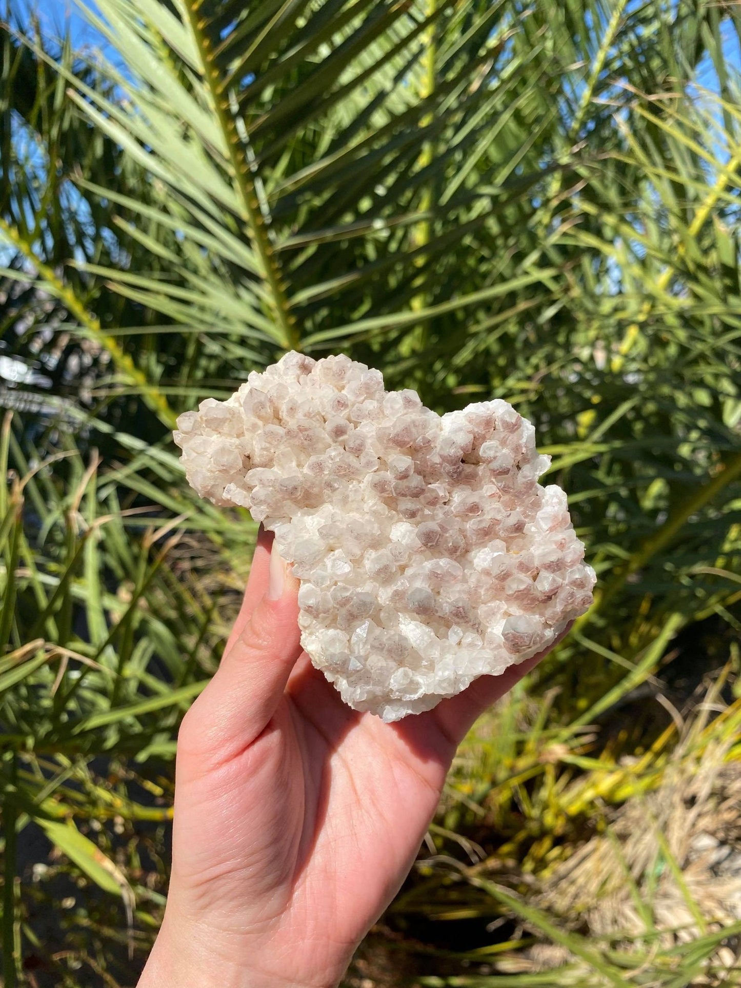 Phantom Quartz Natural Cluster