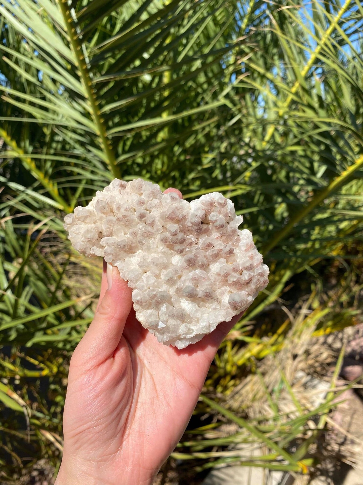 Phantom Quartz Natural Cluster
