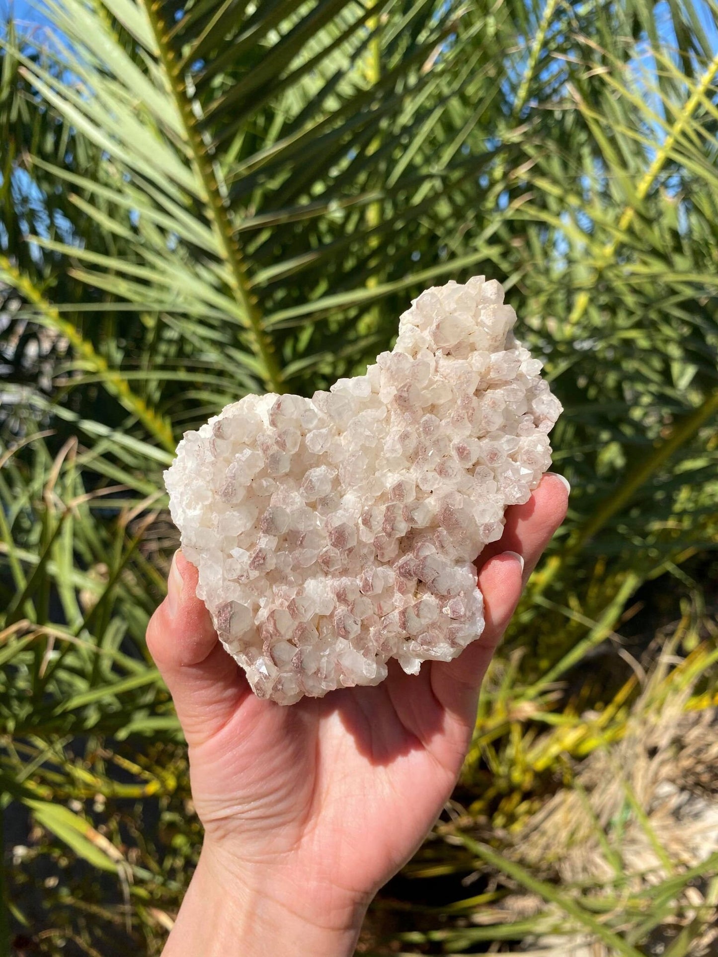 Phantom Quartz Natural Cluster