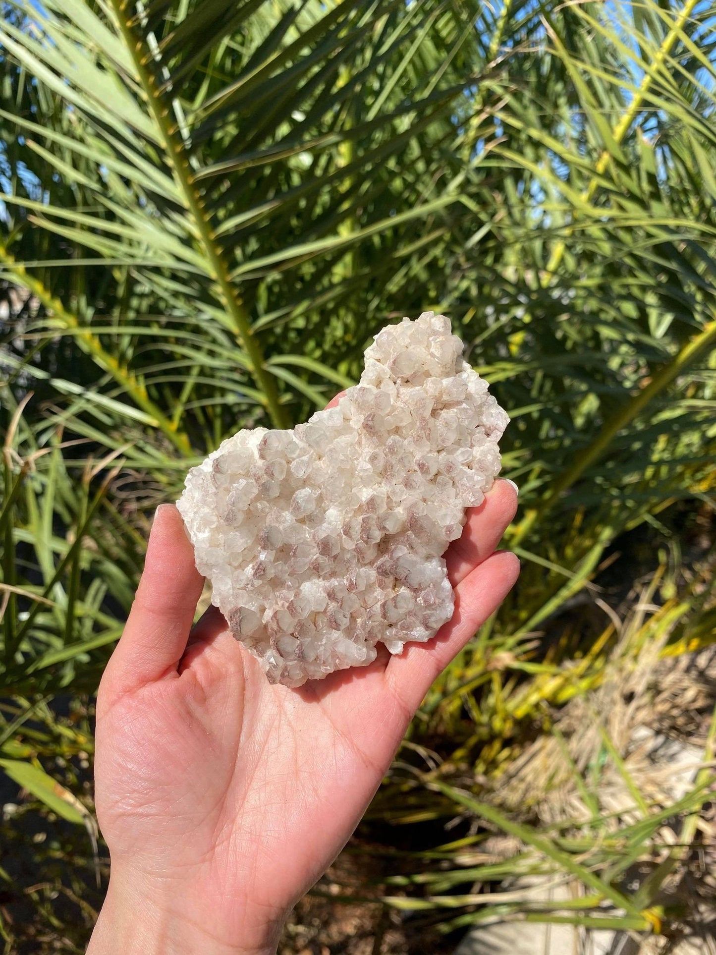 Phantom Quartz Natural Cluster