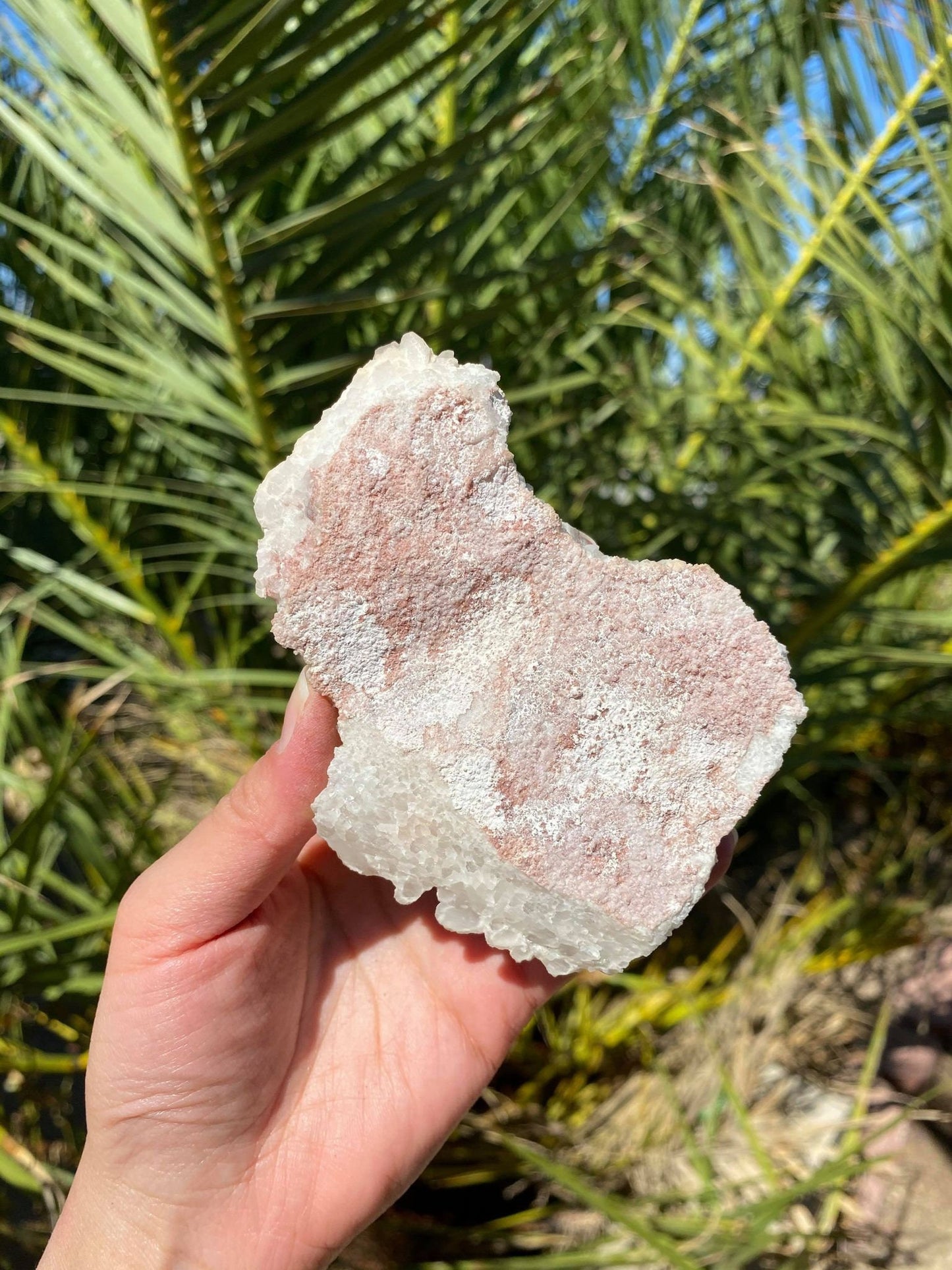 Phantom Quartz Natural Cluster