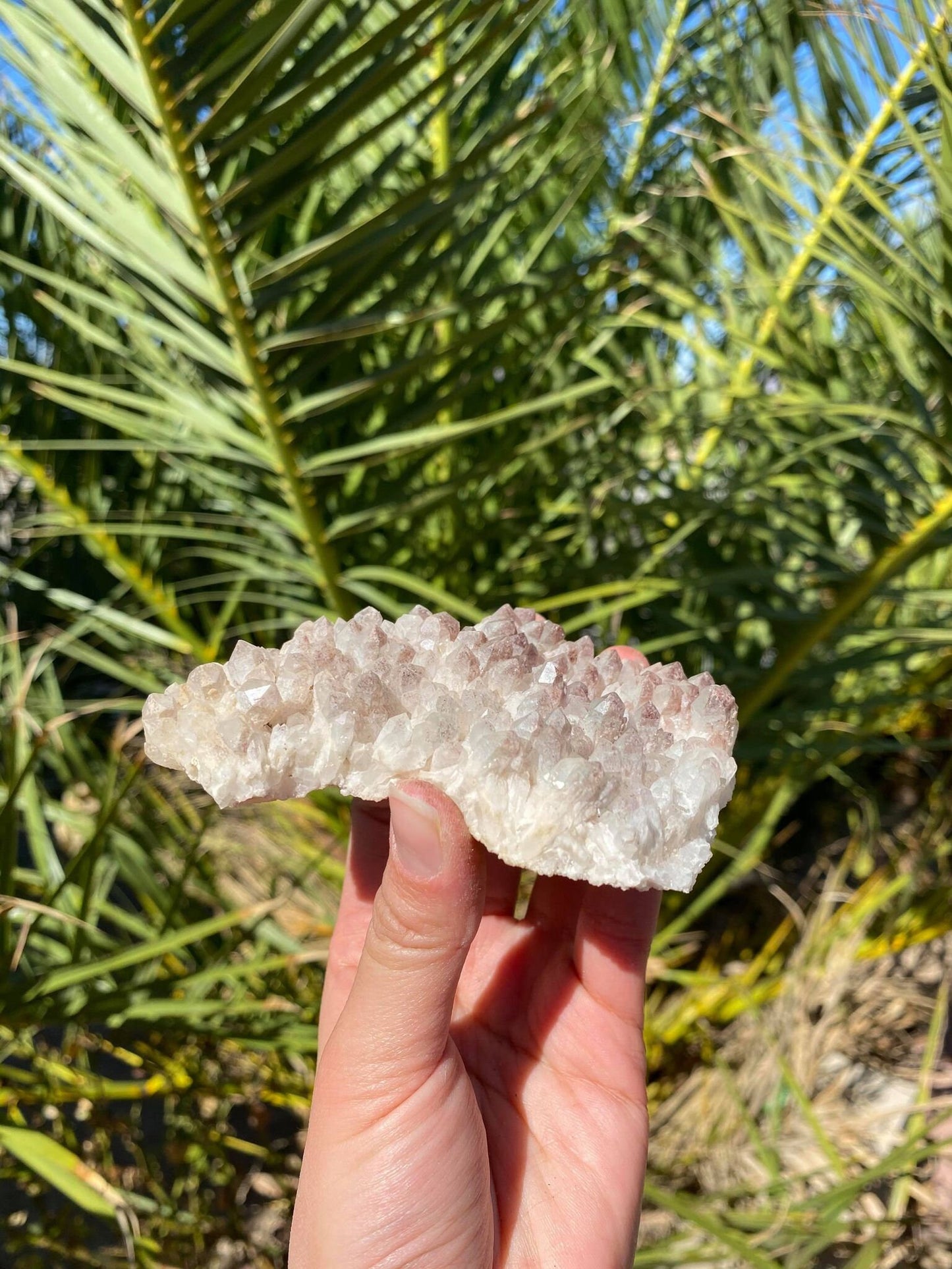 Phantom Quartz Natural Cluster