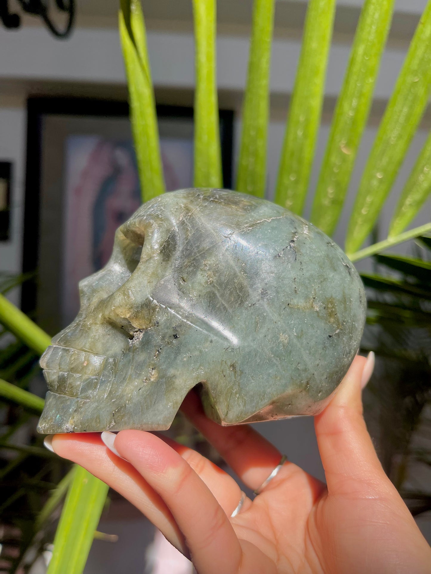 Labradorite Skull W/ Heart Eyes