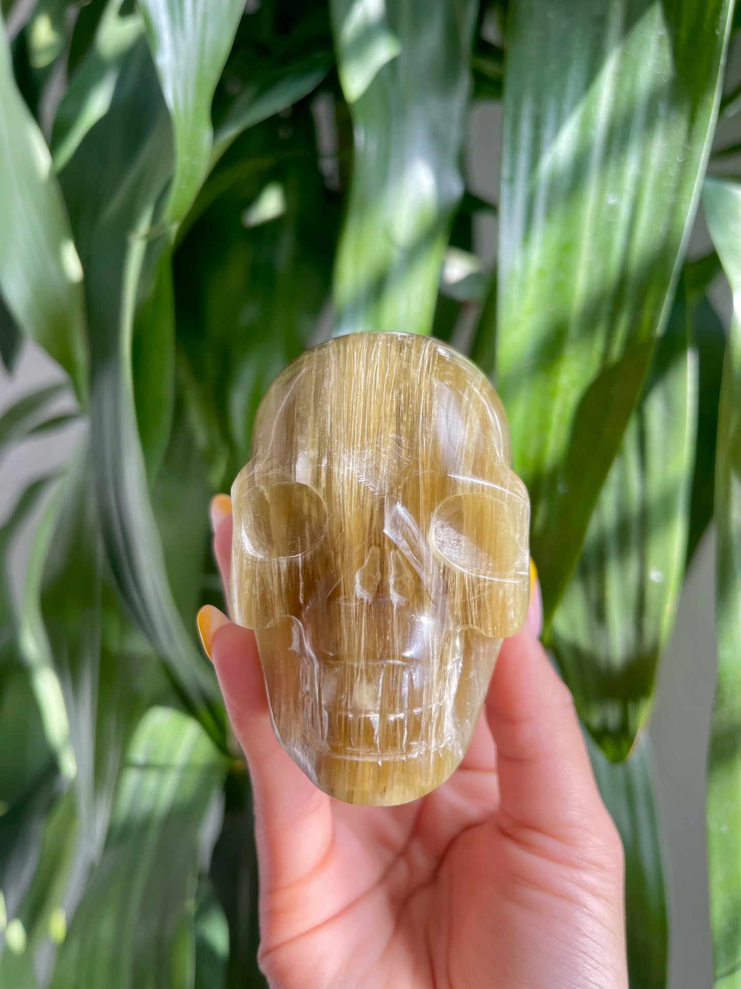 Golden Mica Skull