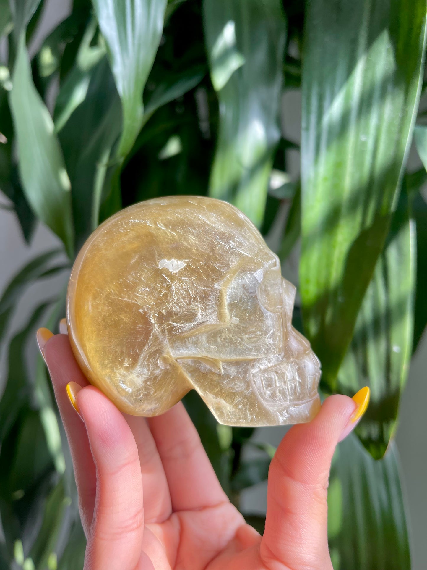Golden Mica Skull