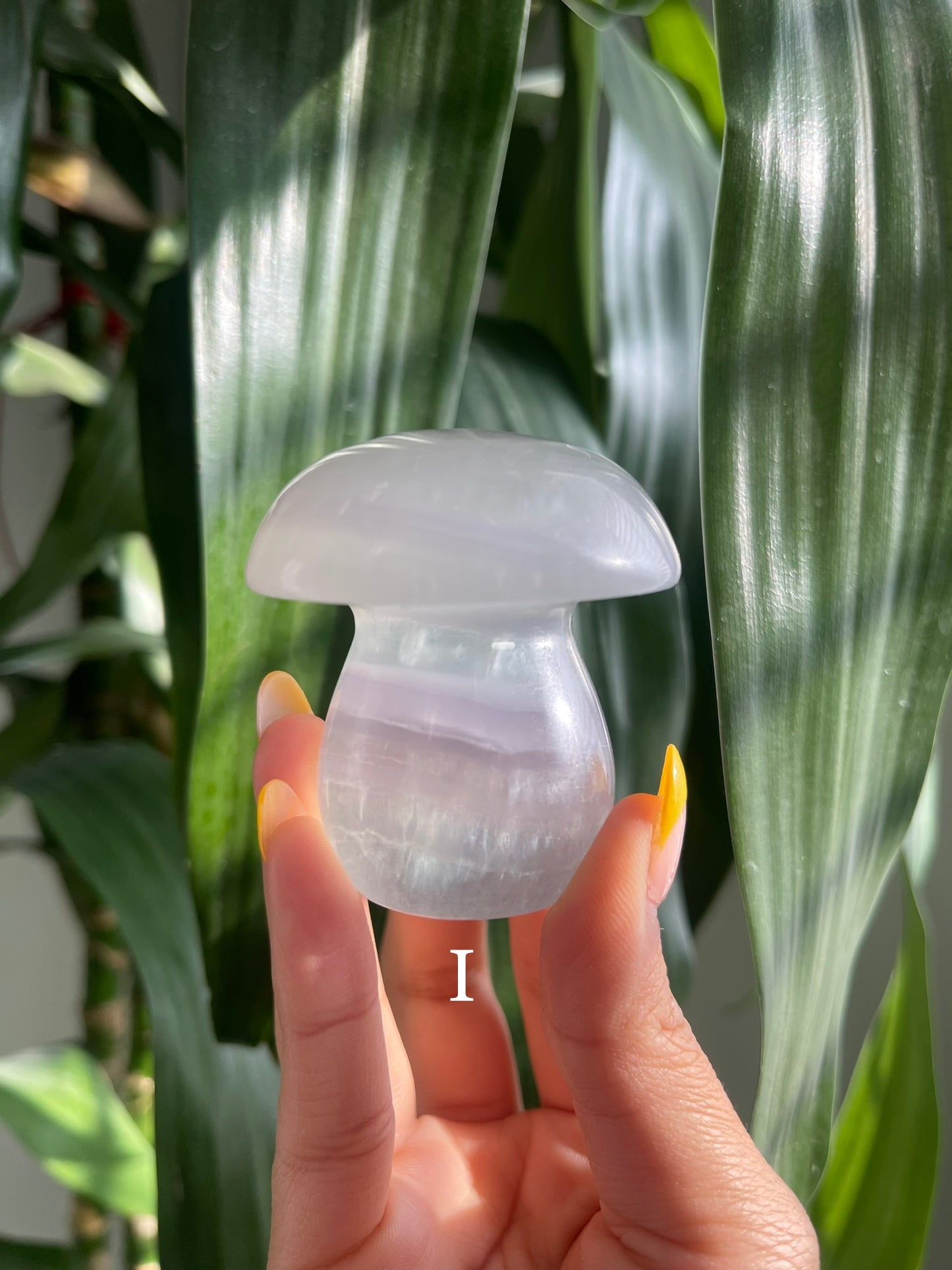 Lavender Fluorite Mushroom