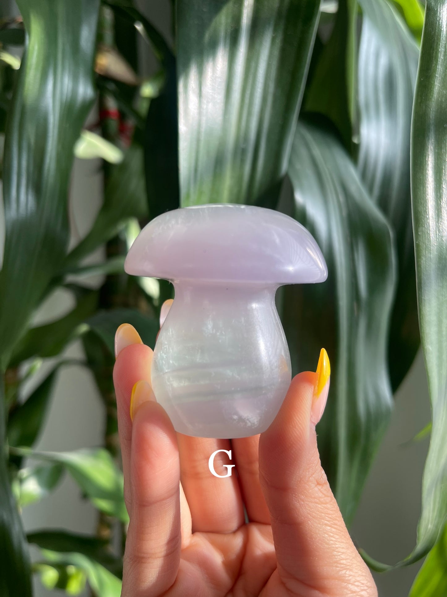 Lavender Fluorite Mushroom