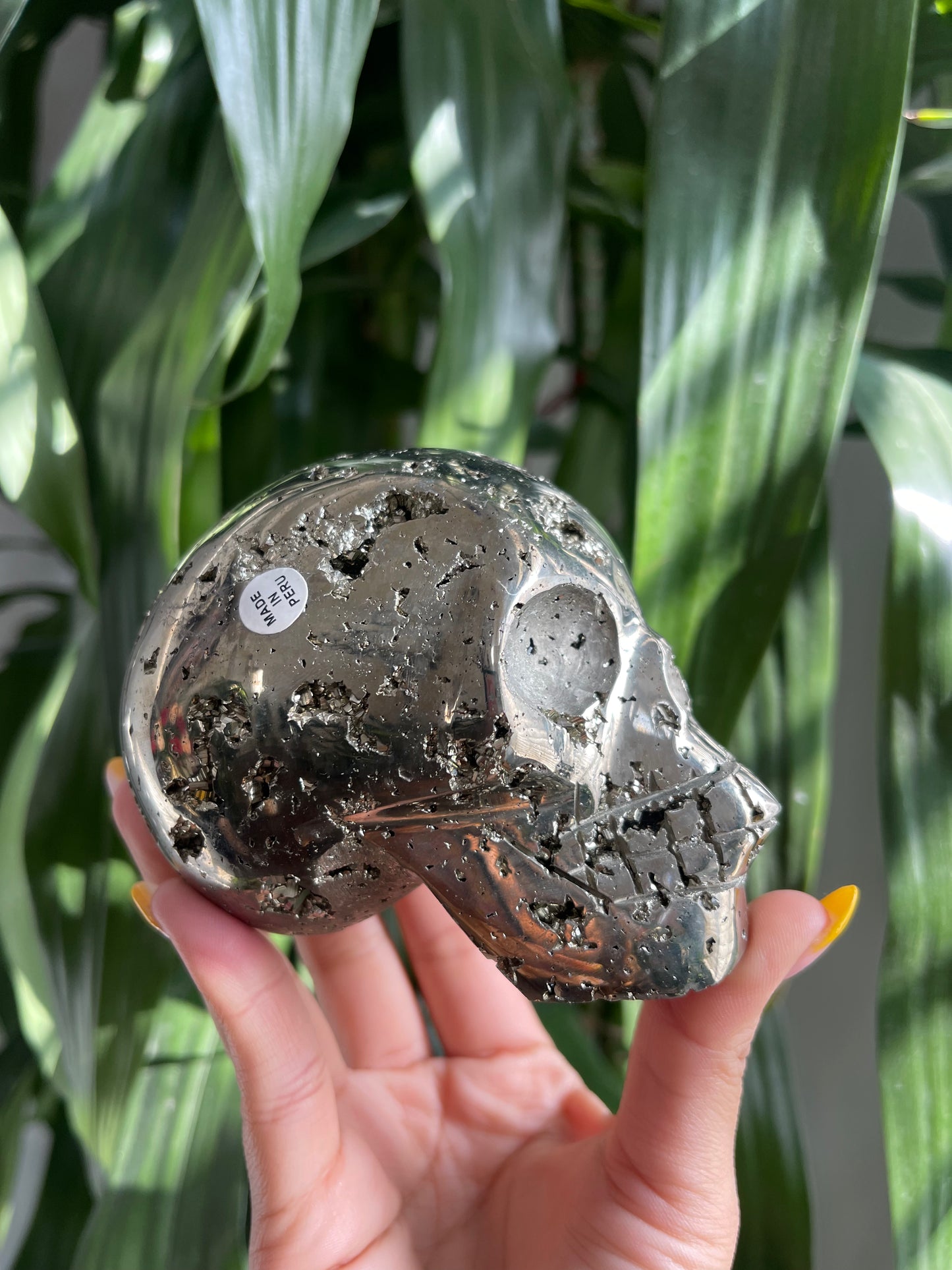 Pyrite Skull