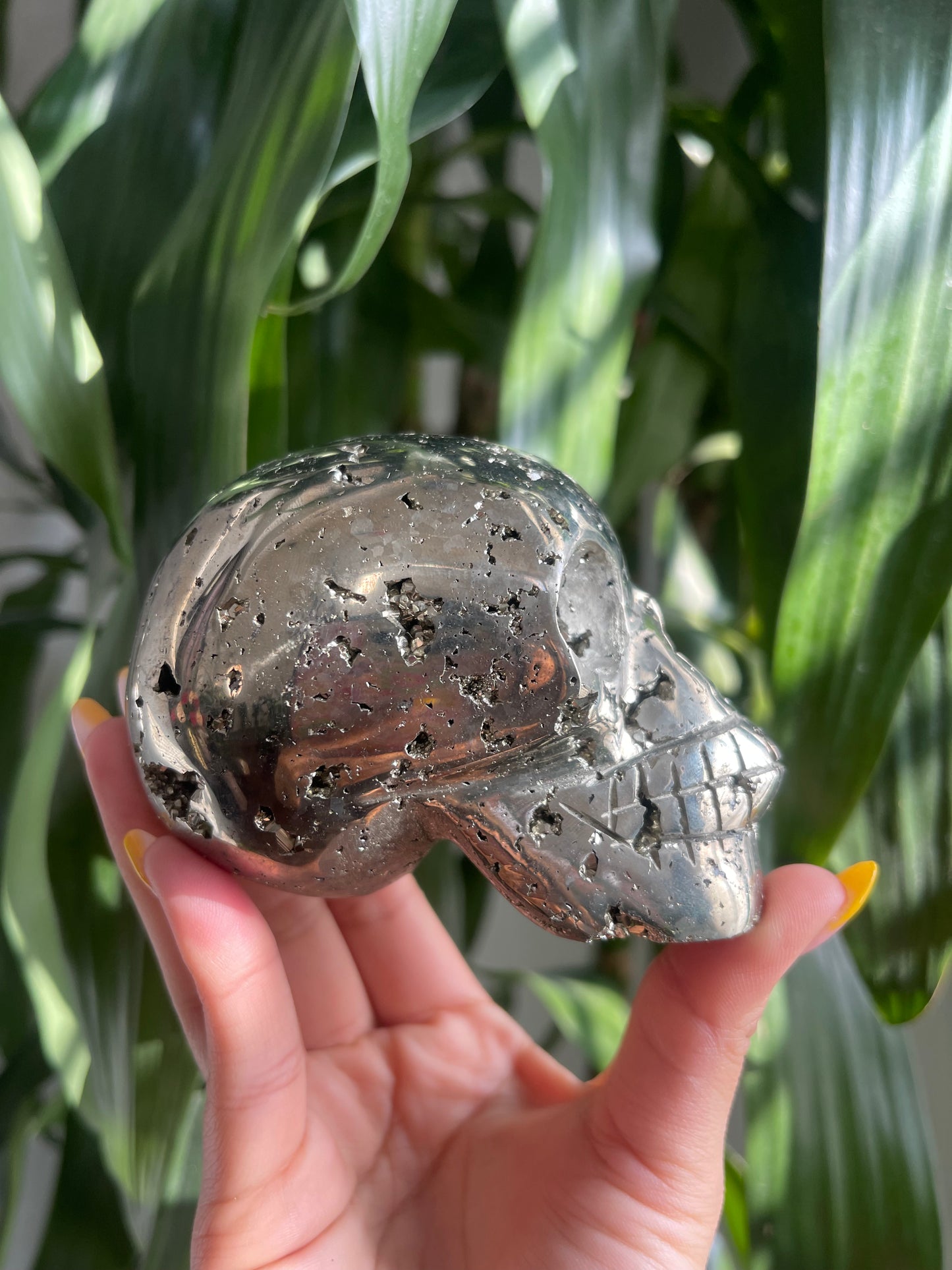 Pyrite Skull