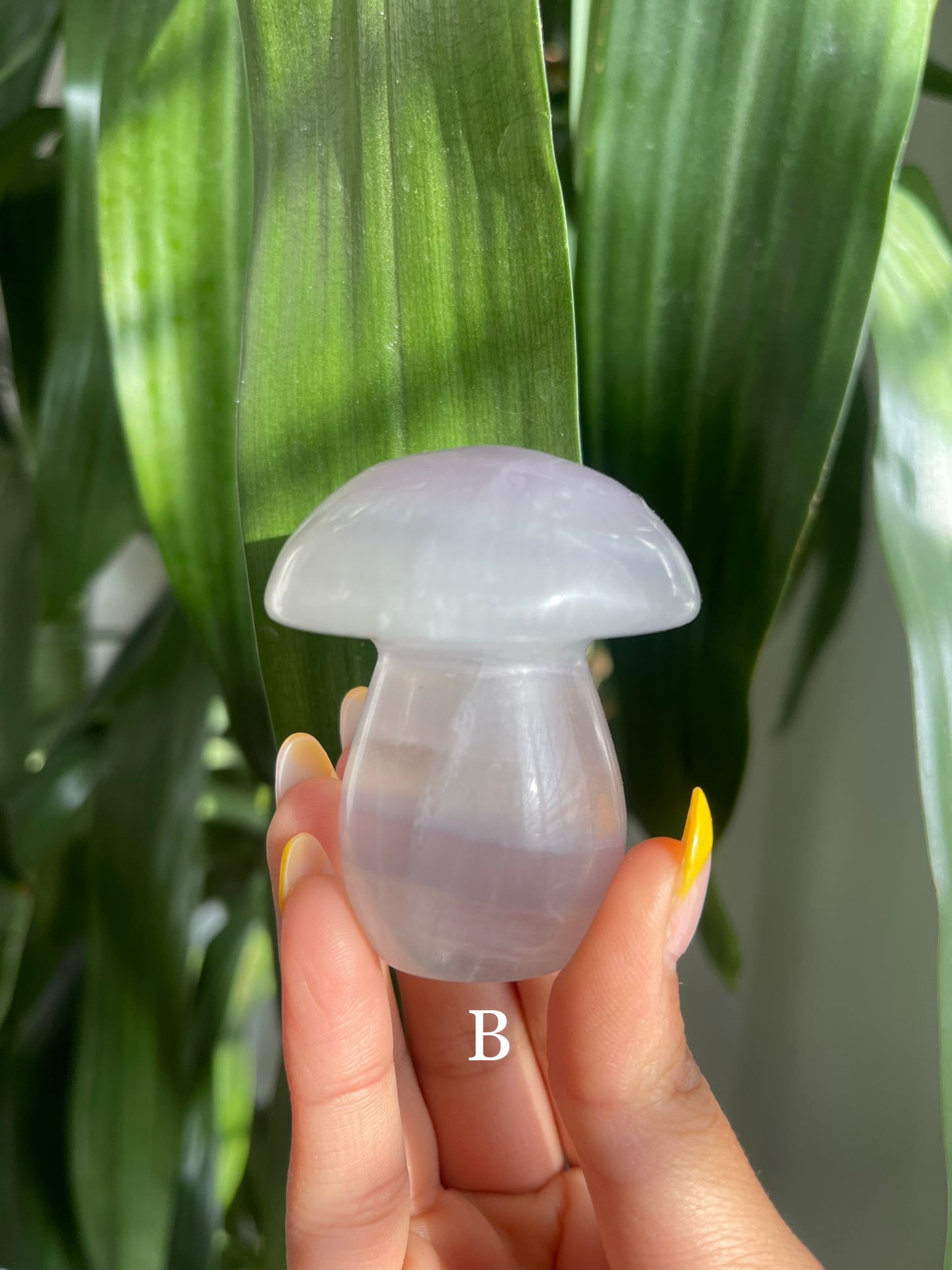 Lavender Fluorite Mushroom