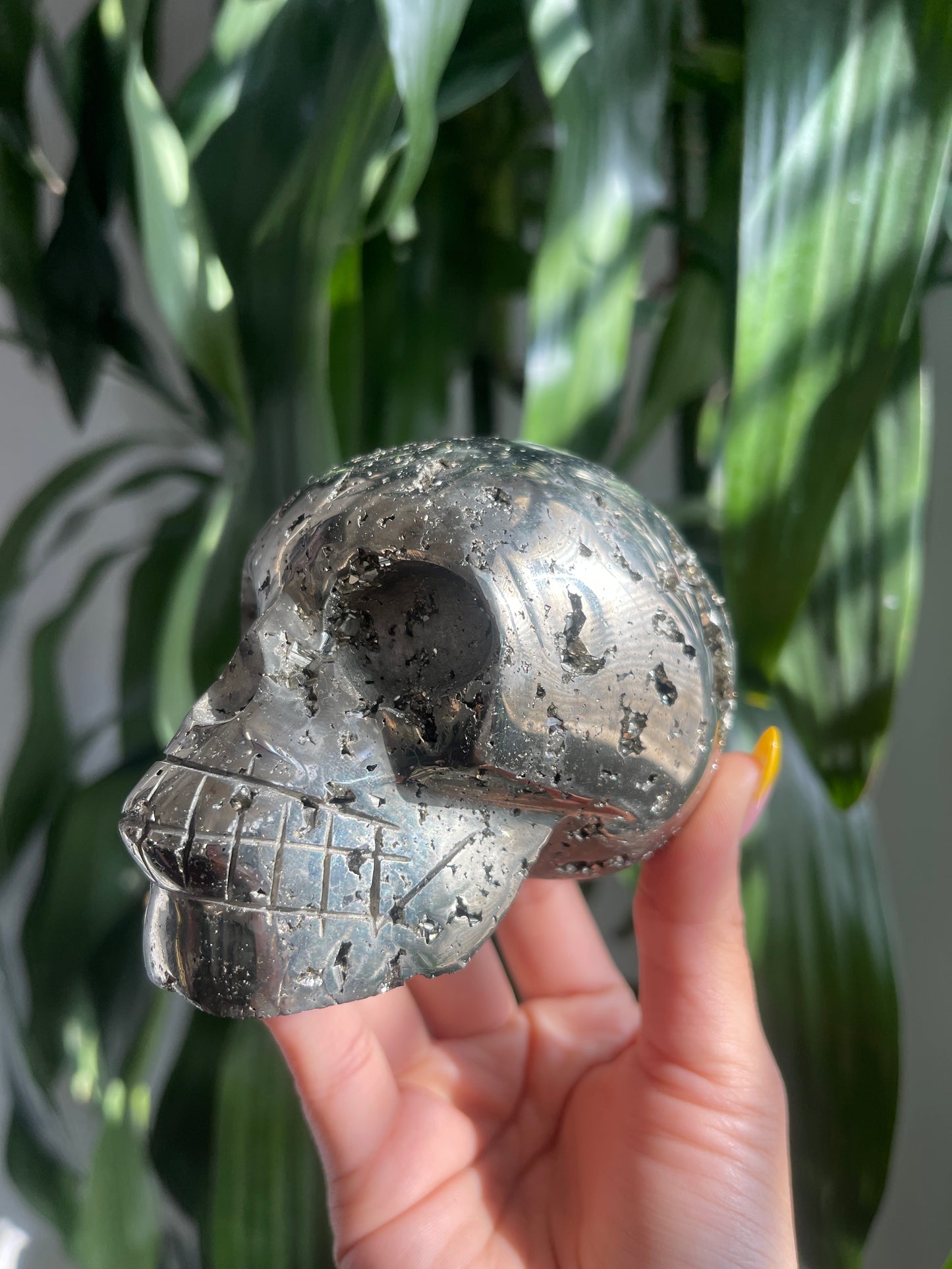 Pyrite Skull