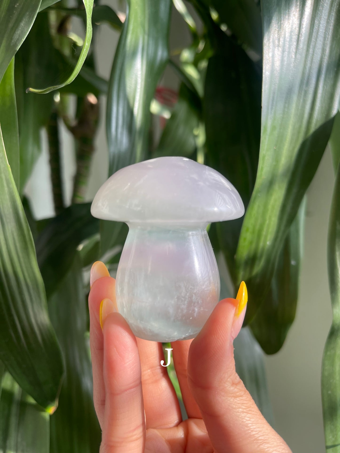 Lavender Fluorite Mushroom