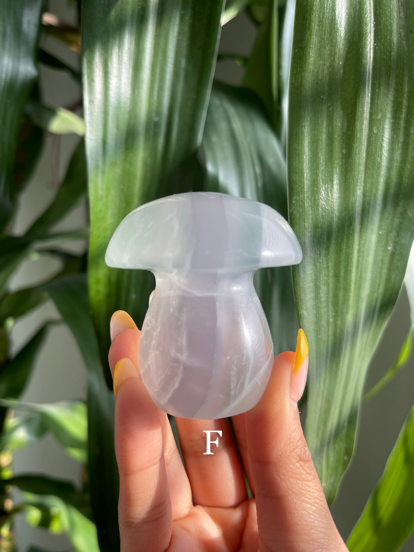 Lavender Fluorite Mushroom