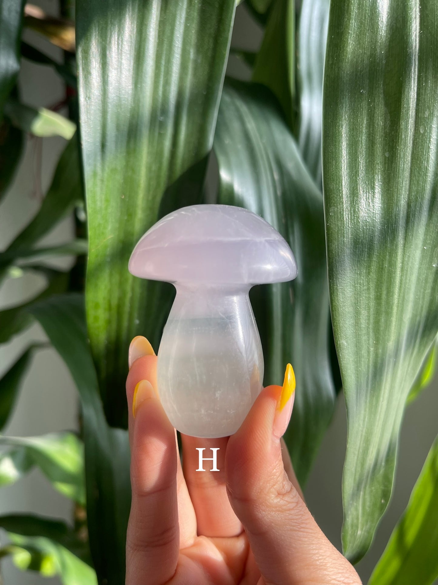 Lavender Fluorite Mushroom