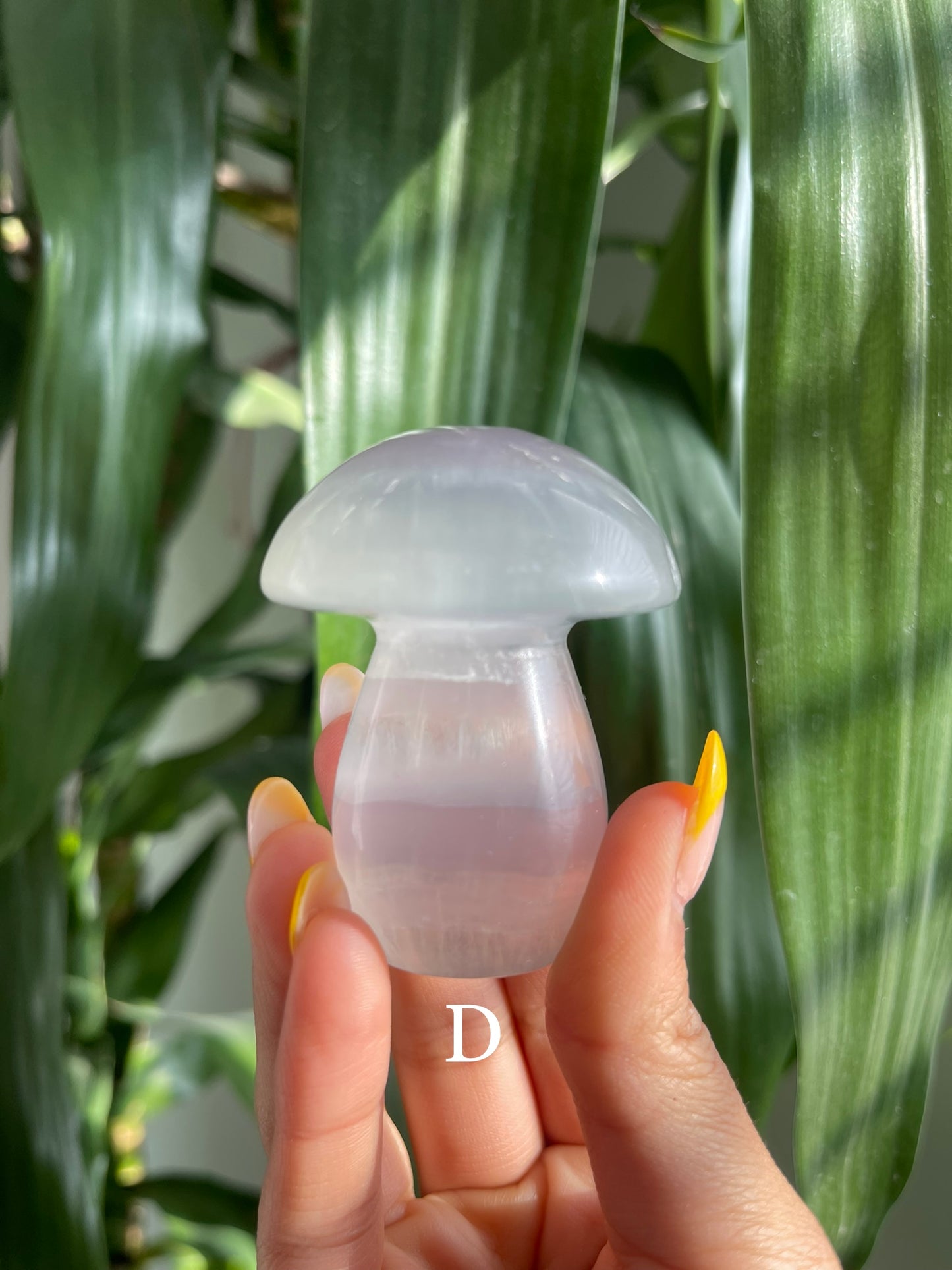 Lavender Fluorite Mushroom