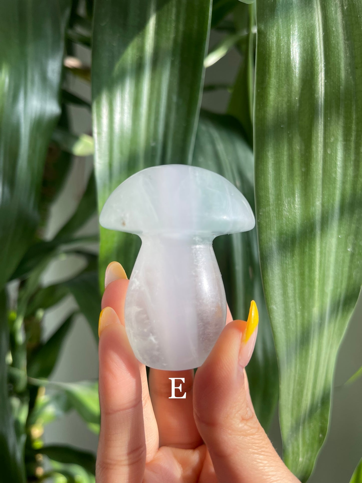 Lavender Fluorite Mushroom