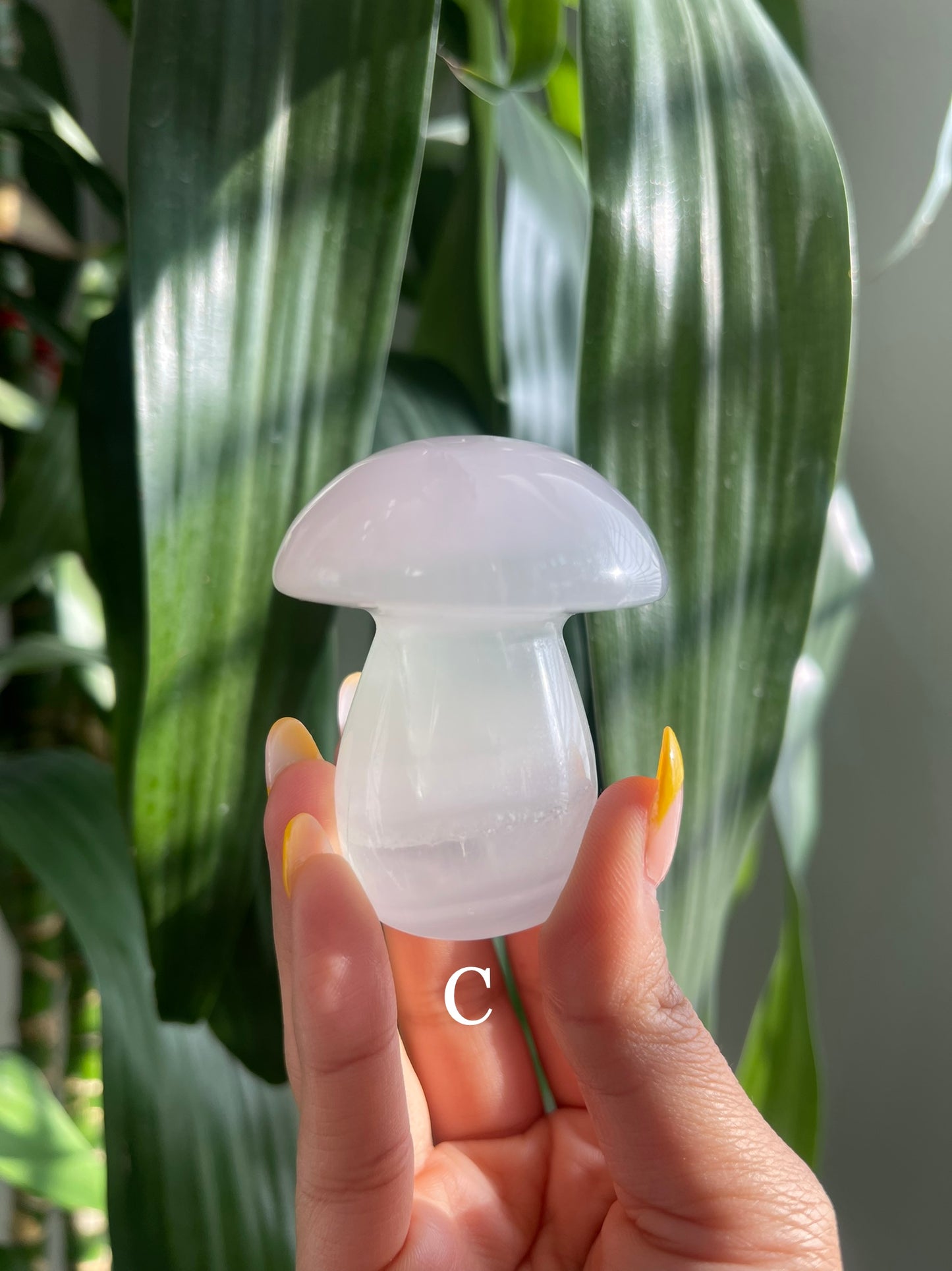Lavender Fluorite Mushroom