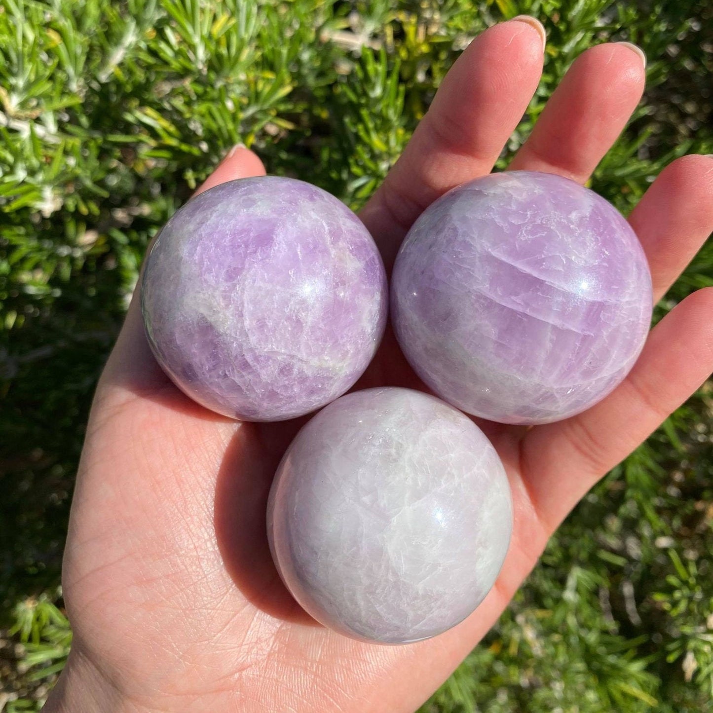 Kunzite Spheres