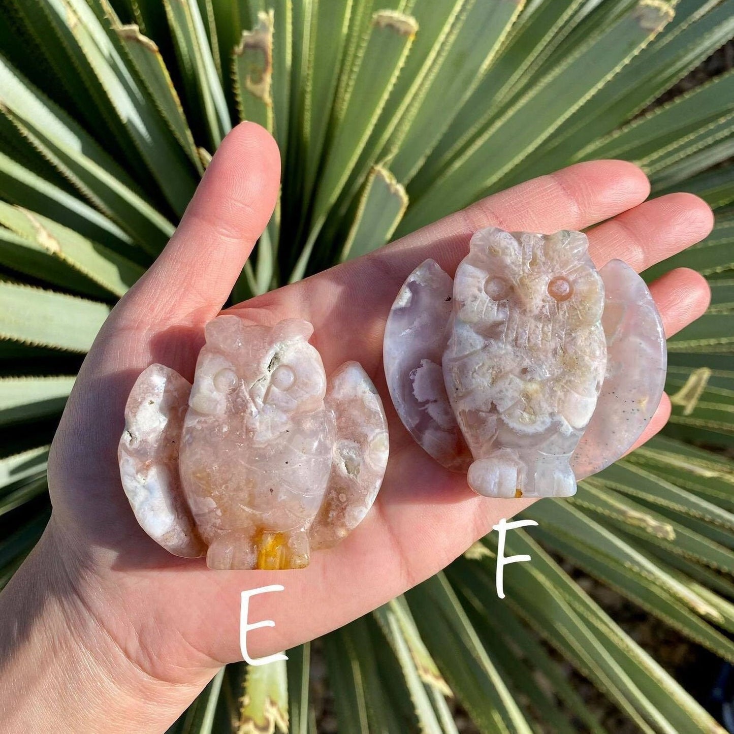 Flower Agate Owls