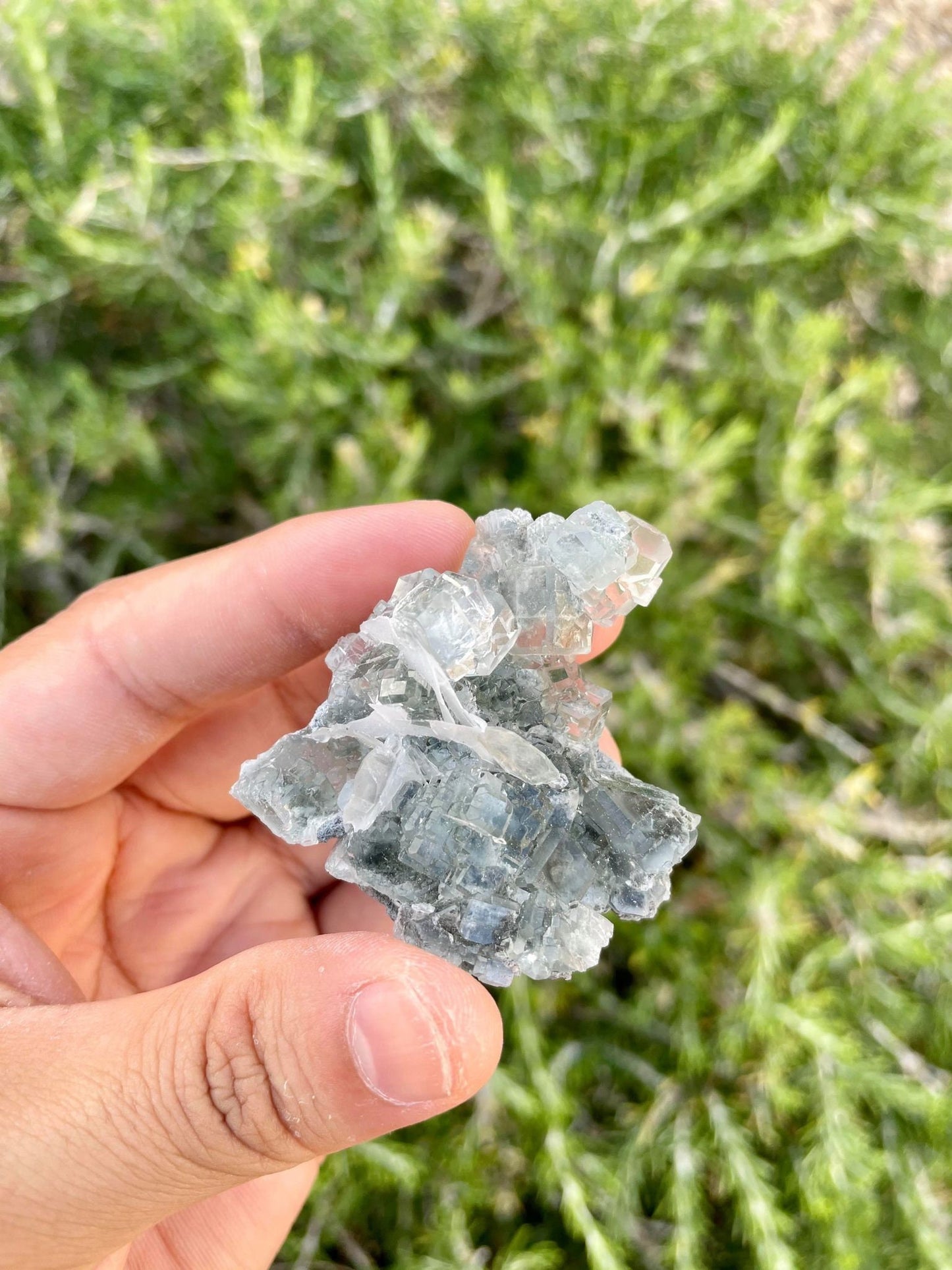 Clear Sea Green Fluorite Cluster