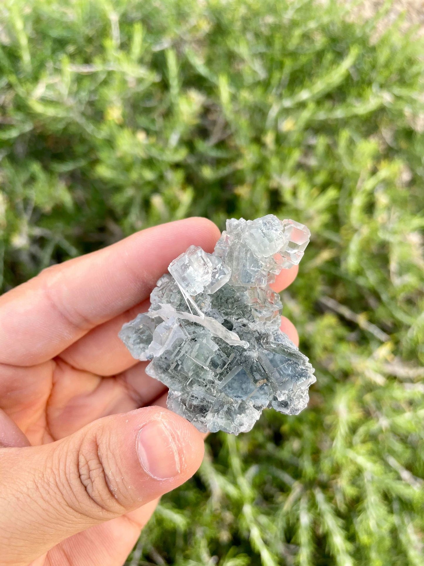 Clear Sea Green Fluorite Cluster