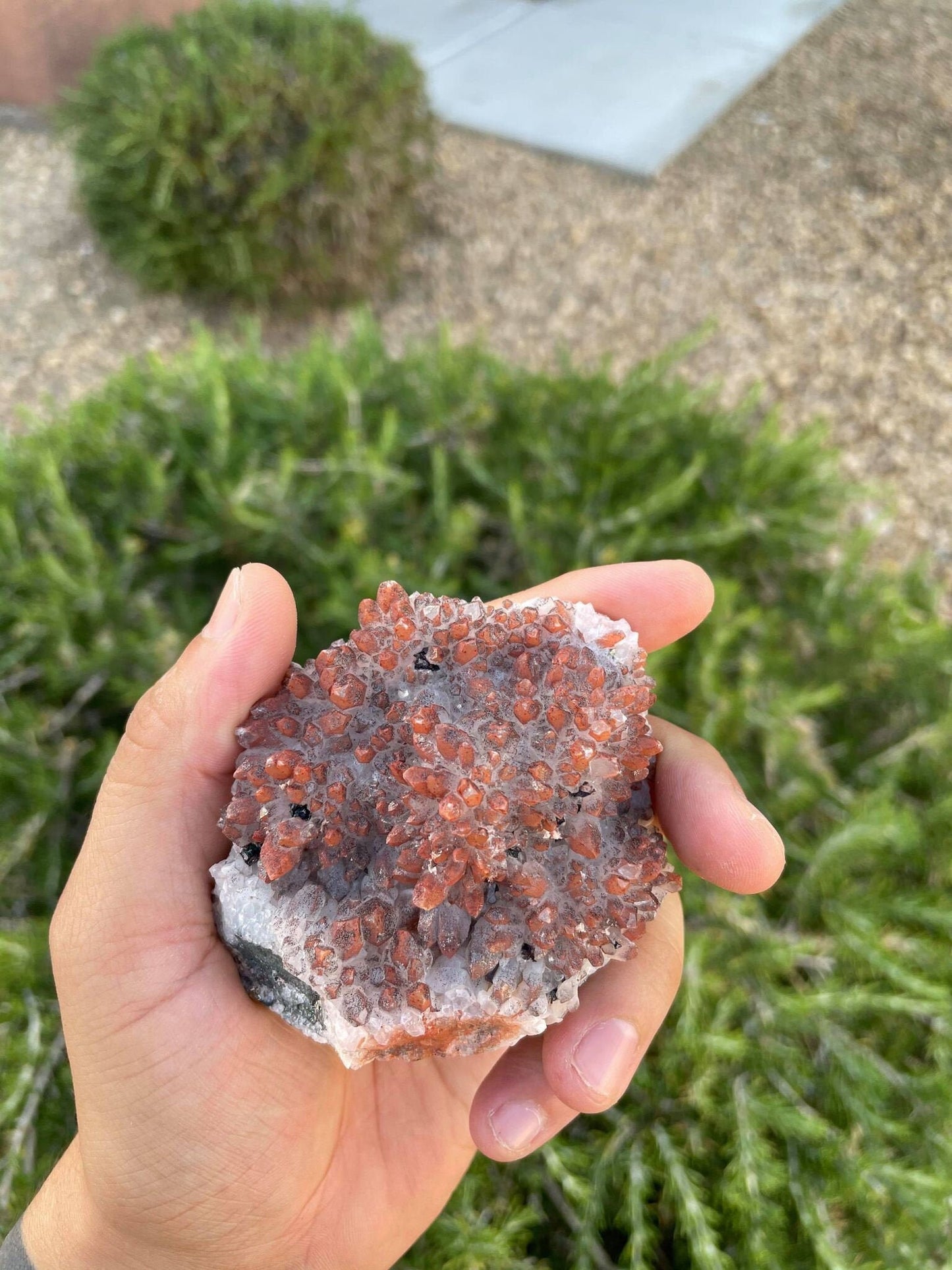 Hematite Quartz with Pyrite 6.4 oz