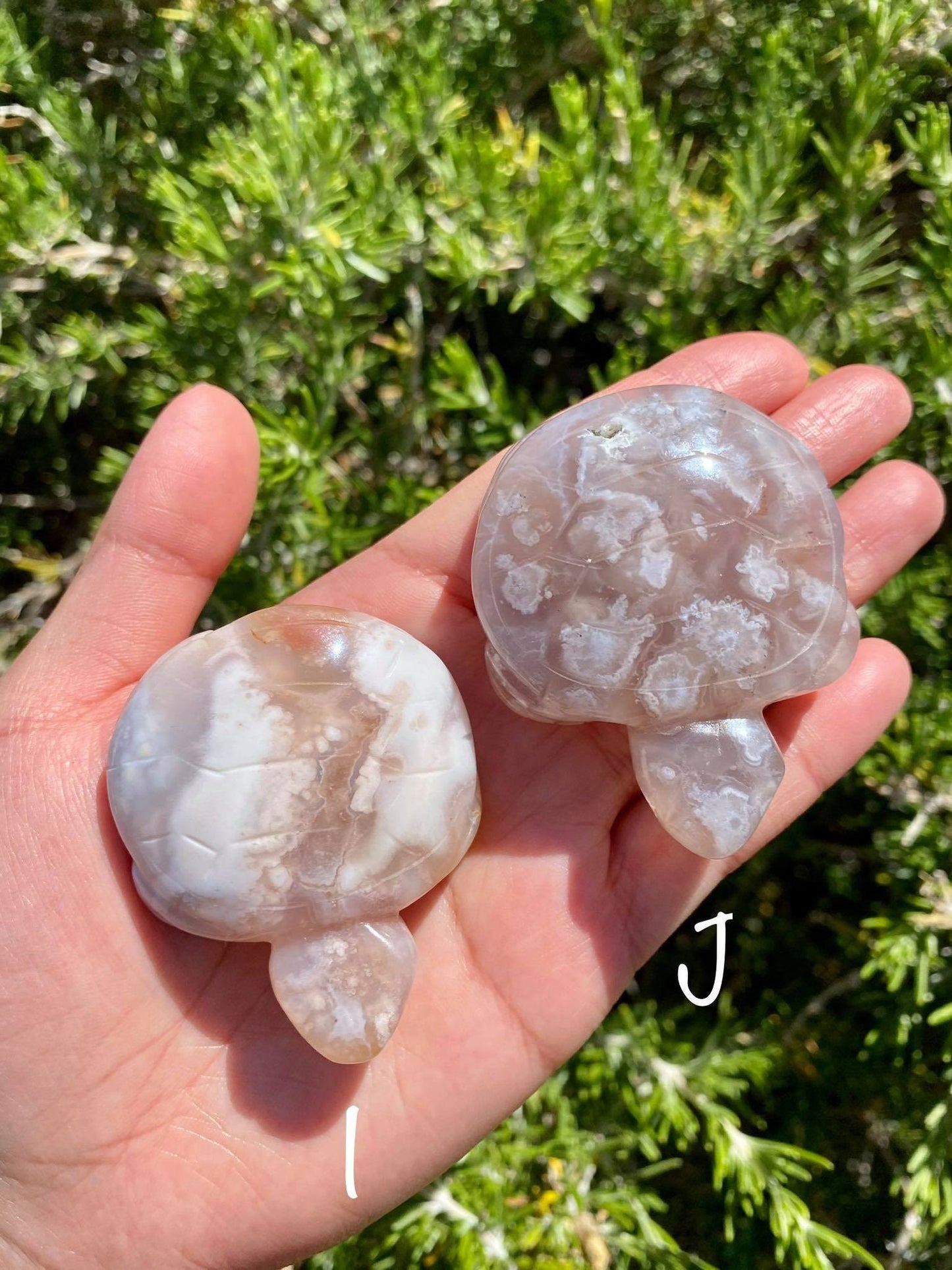 Flower Agate Turtles